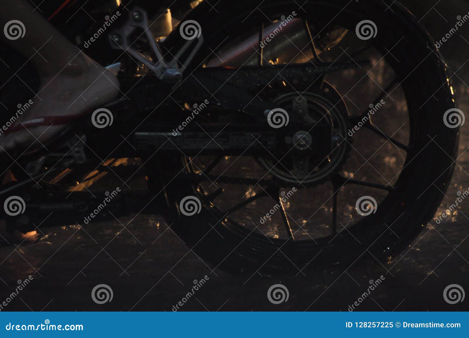 wheels in motion motorcycle