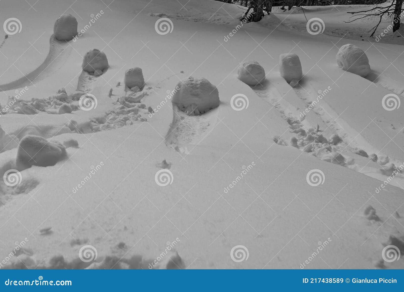 wheel-d snowballs formed by rolling down a slope black and white effect