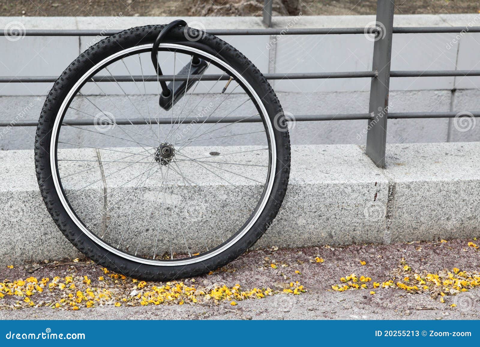 wheel of stolen bicycle