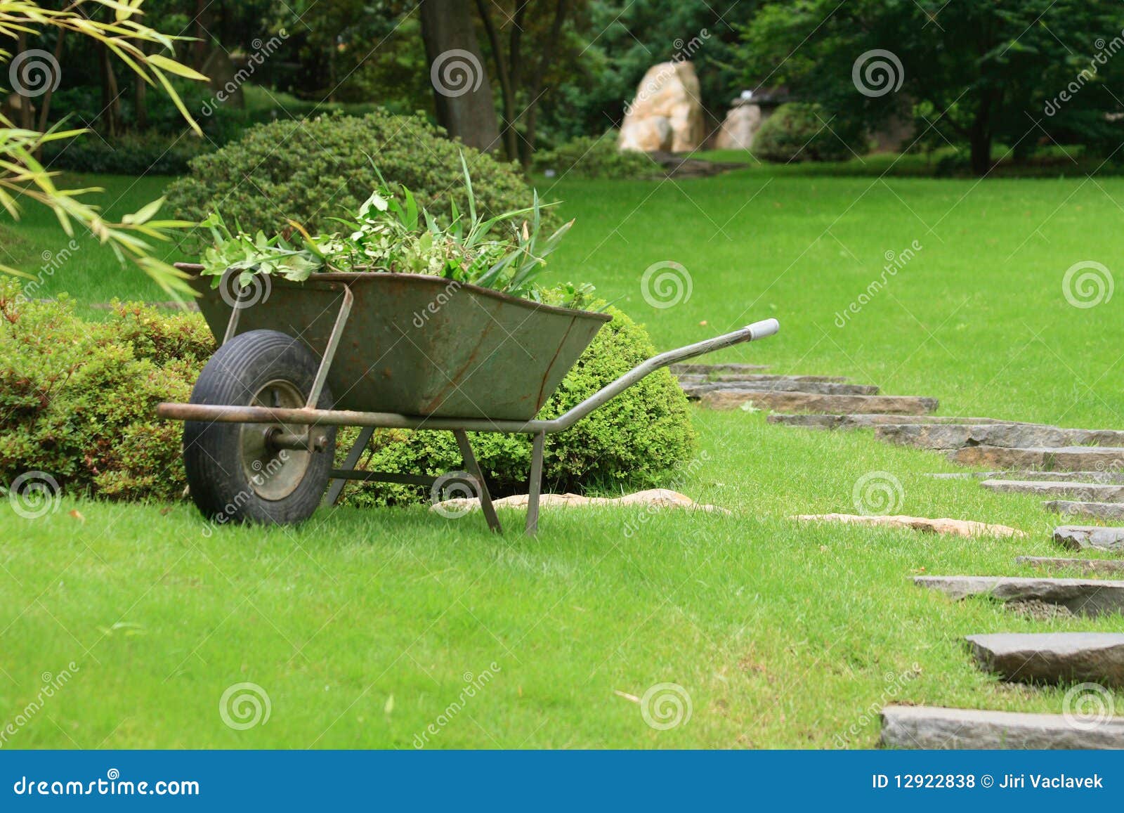 Wheelbarrow stock photo. Image of garden, outdoors, gardening 12922838
