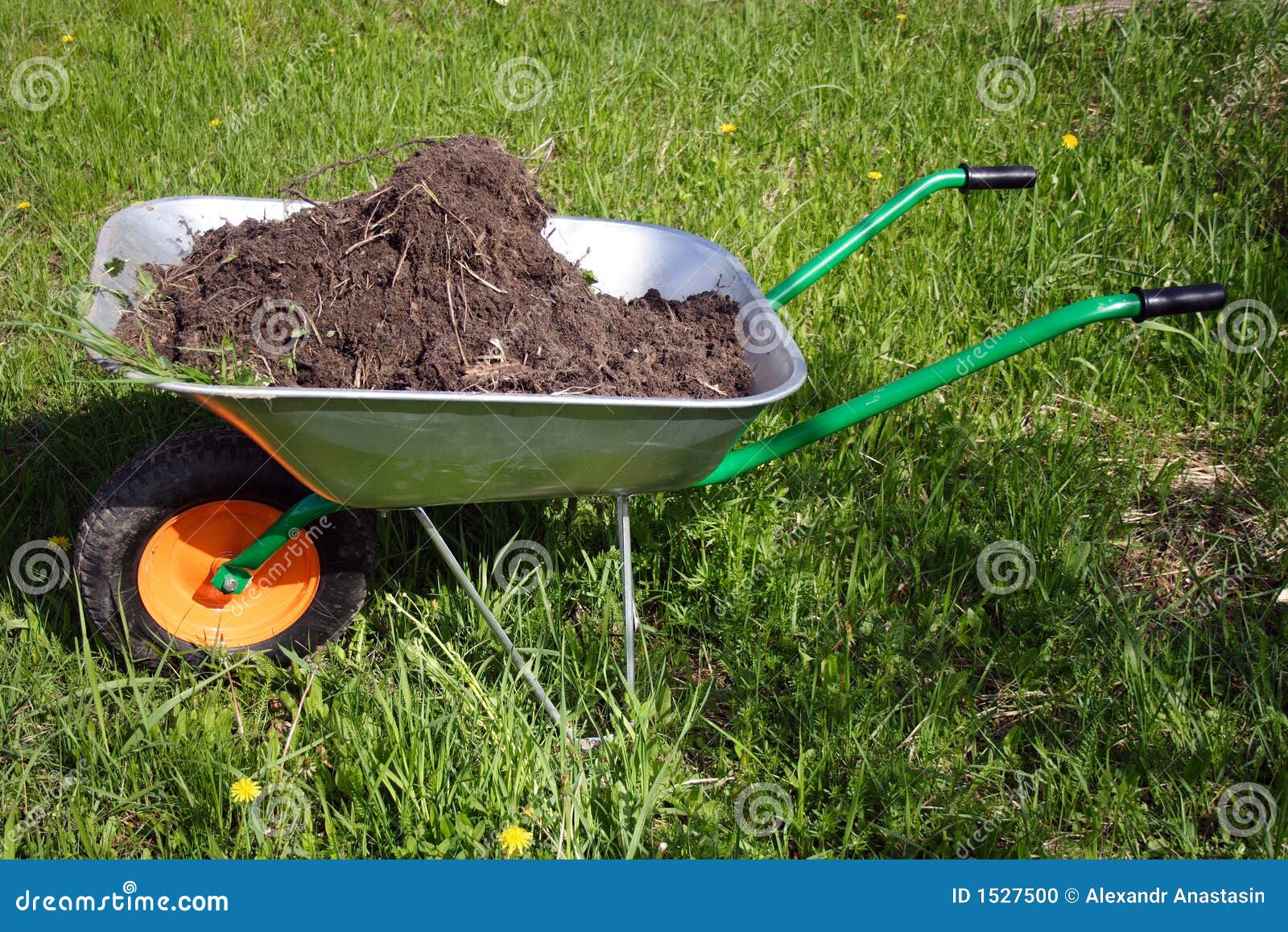 Wheelbarrow stock photo. Image of handbarrow, ground, lawn 1527500