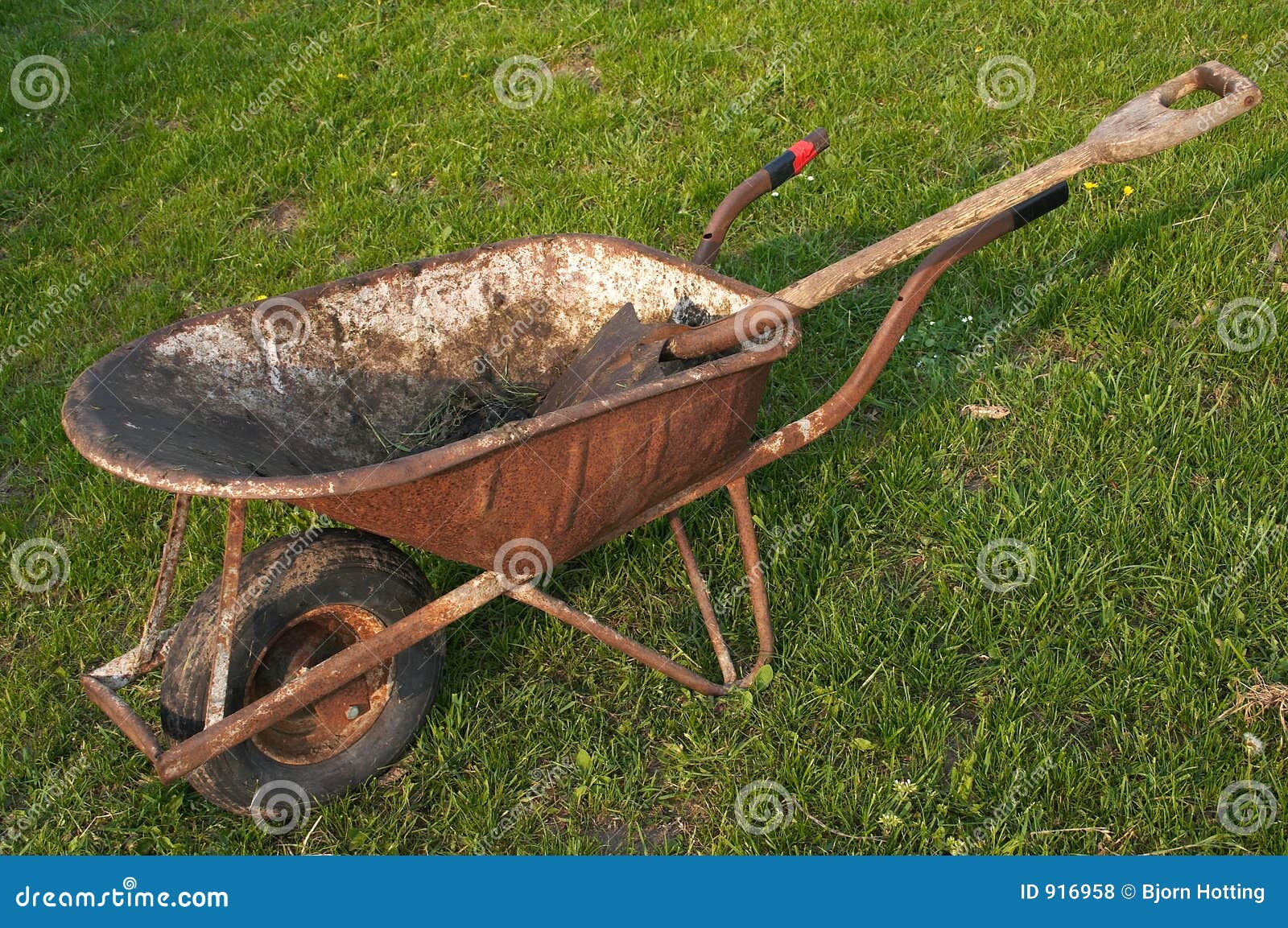 Wheelbarrow stock photo. Image of cleaning, horse, rural 916958