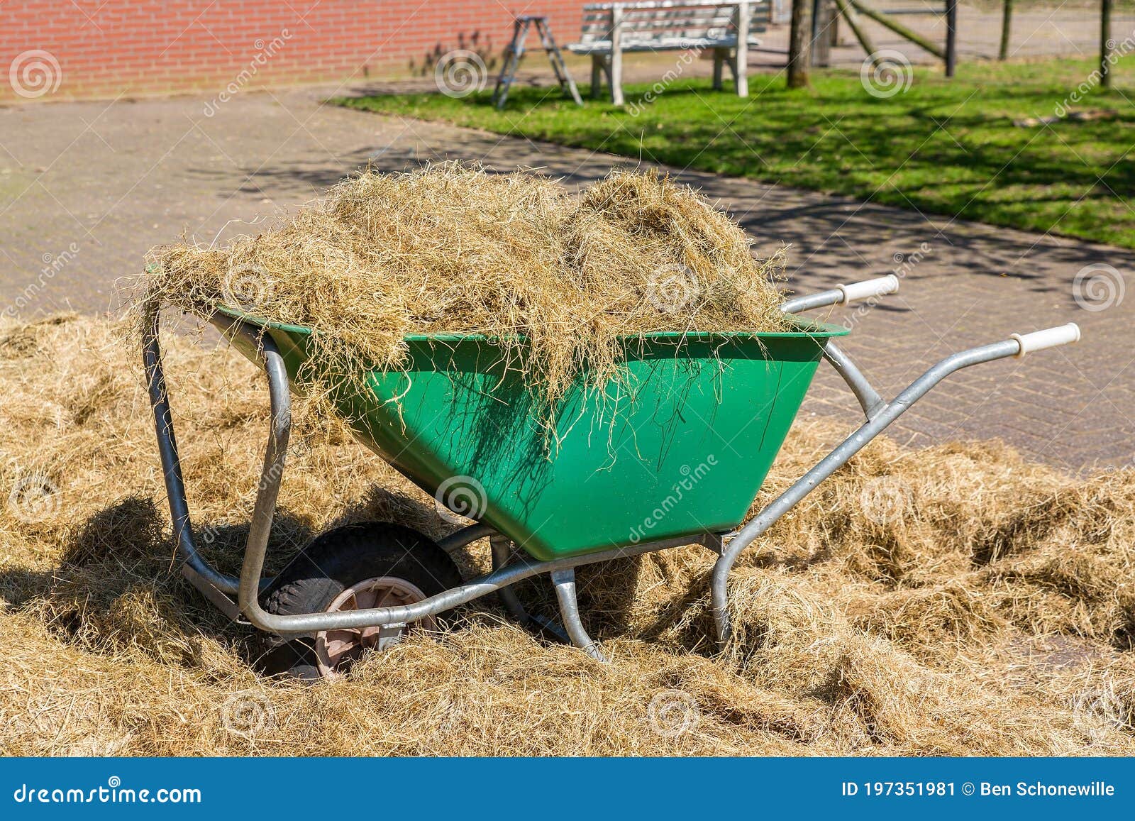 Wheelbarrow Filled with Dry Hay at Barnyard Stock Image Image of farm, feed 197351981