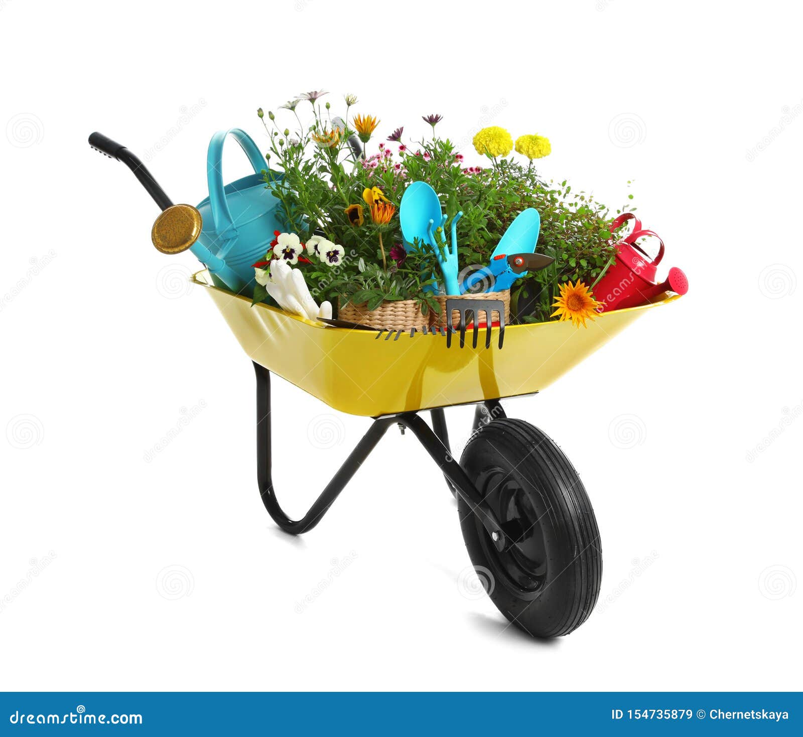 wheelbarrow with flowers and gardening tools  on