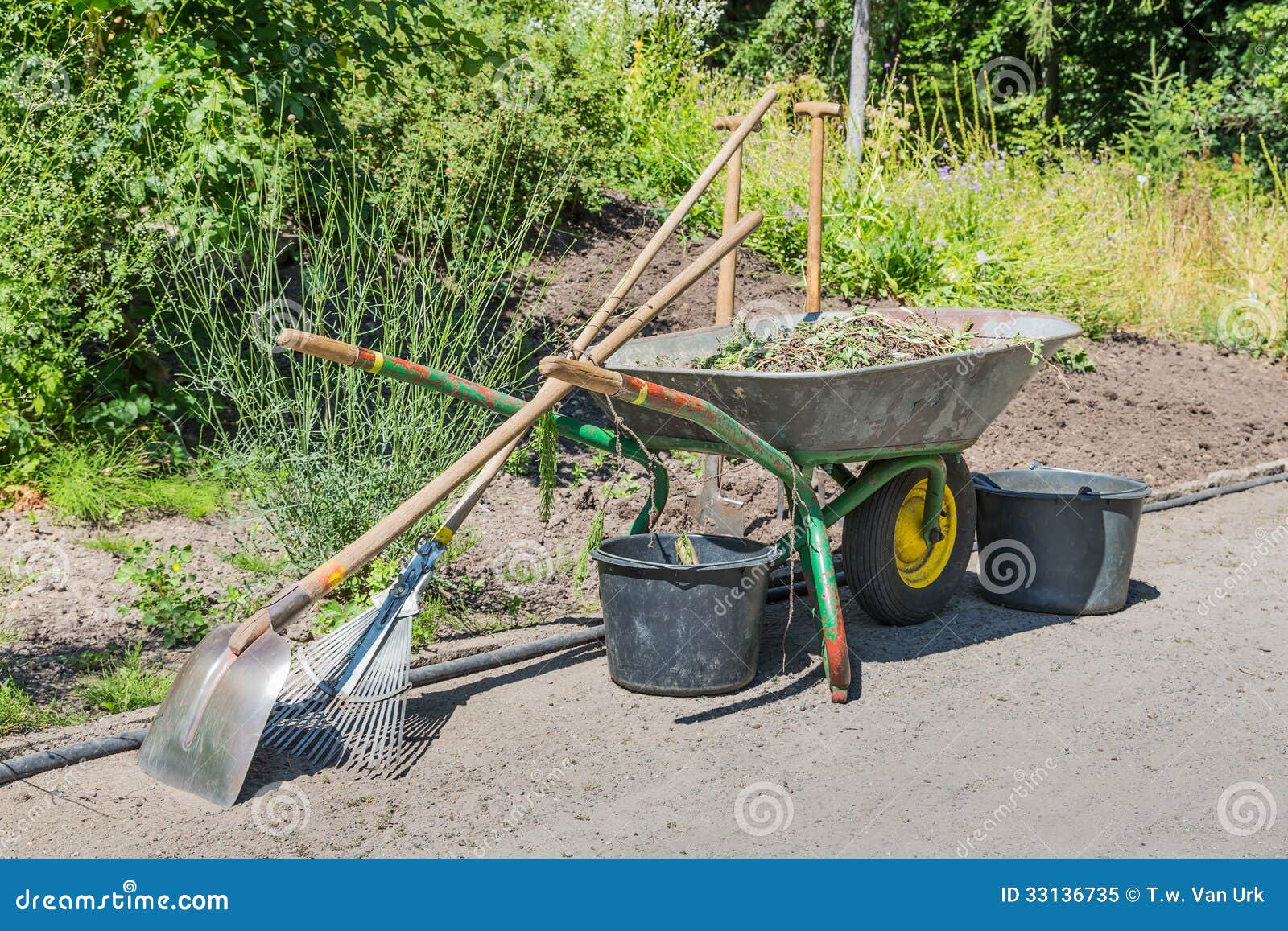 Wheelbarrow with Gardening Tools Stock Image Image of home, floral