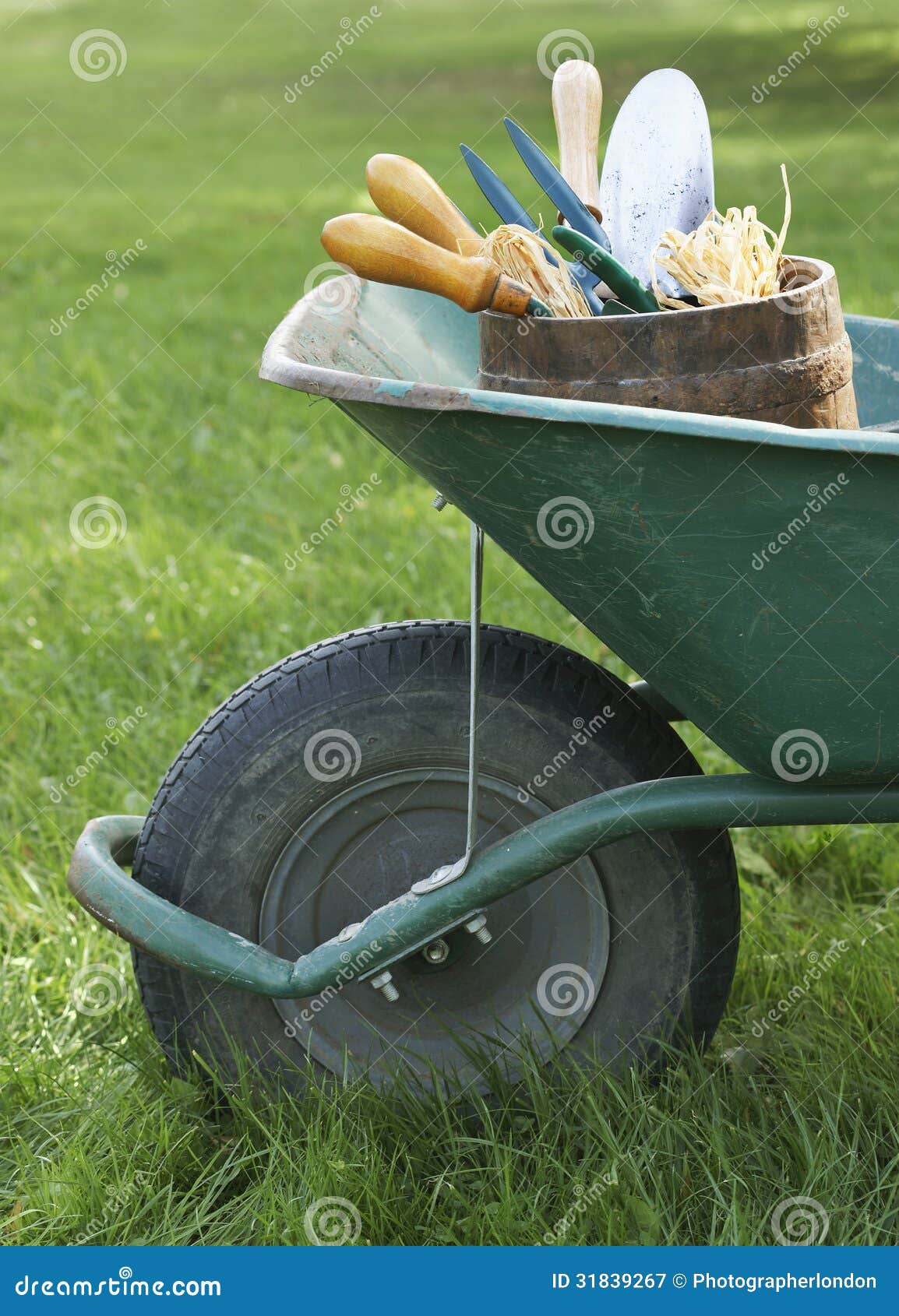 Wheelbarrow with Gardening Tools Stock Image Image of cropped, tools