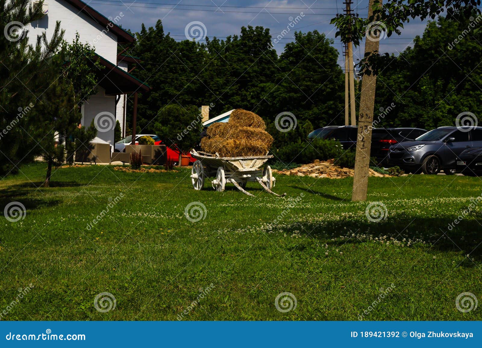 Wheelbarrow with Hay in the Green Yard Editorial Photography Image of gardening, plant 189421392