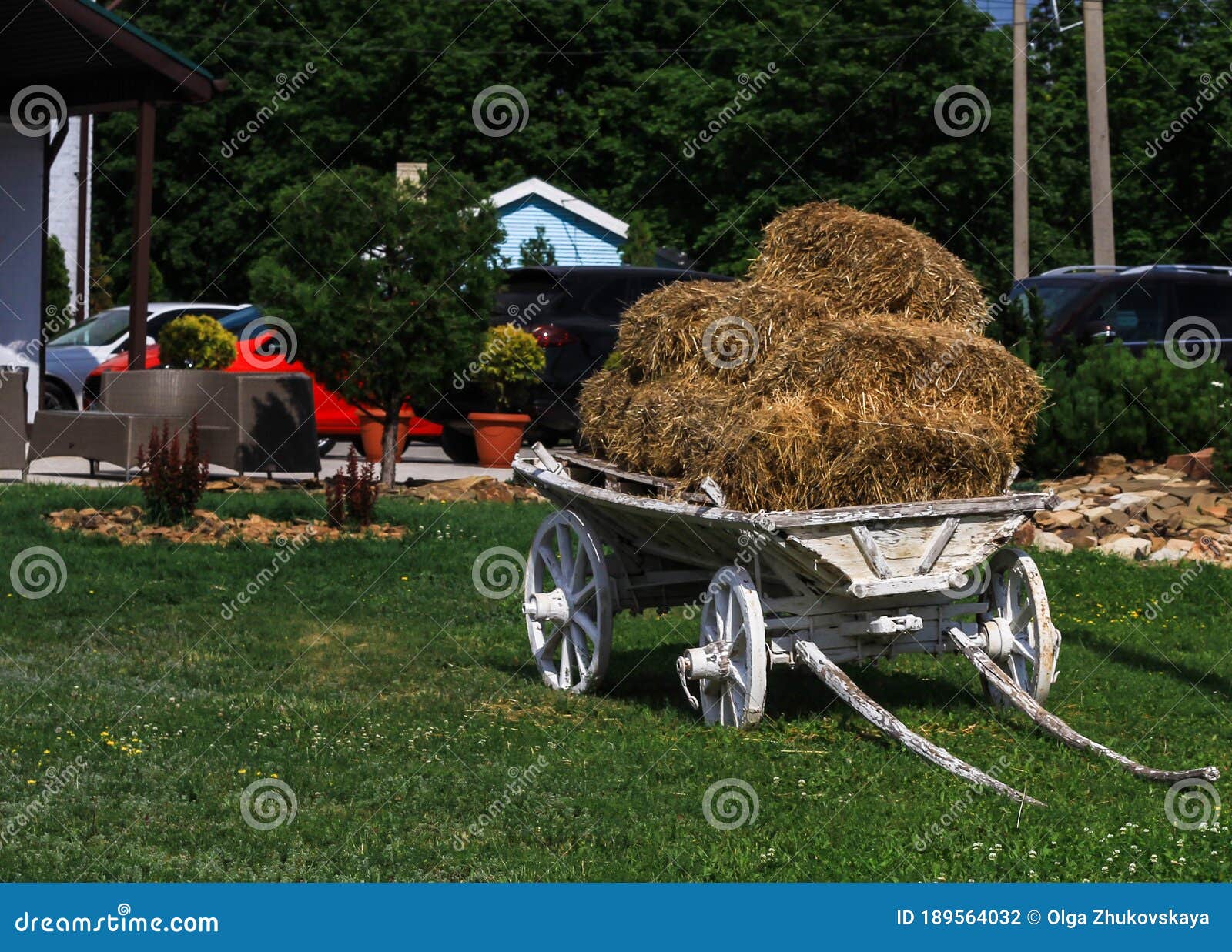 Wheelbarrow with Hay in the Green Yard Stock Photo Image of spring, grass 189564032