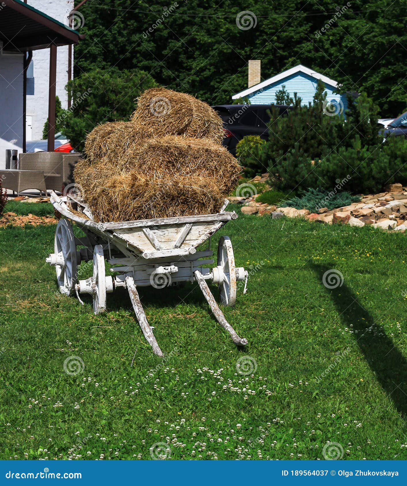 Wheelbarrow with Hay in the Green Yard Stock Image - Image of work, season:  189564037