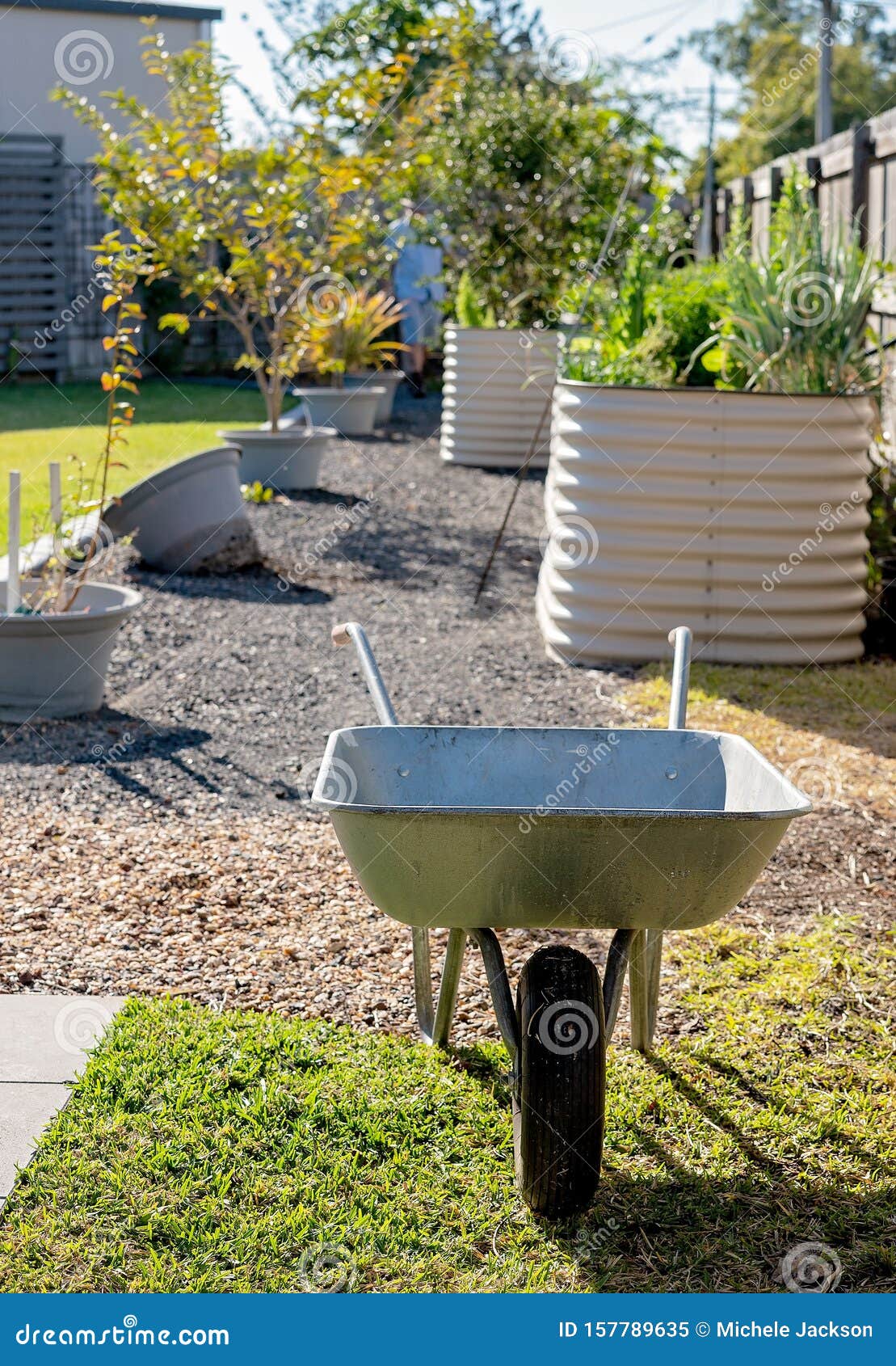 Wheelbarrow and Raised Garden Beds in a Backyard Stock Image Image of