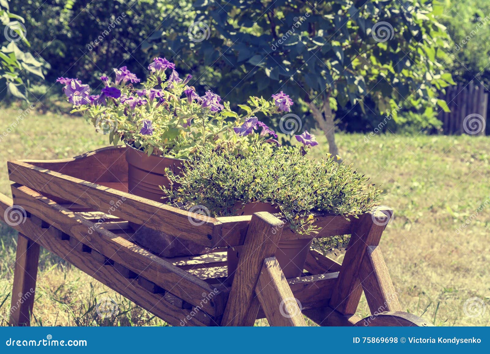 Download Wheelbarrow Wooden Decoration With Flowers In A Garden Stock Photo - Image of verdant ...