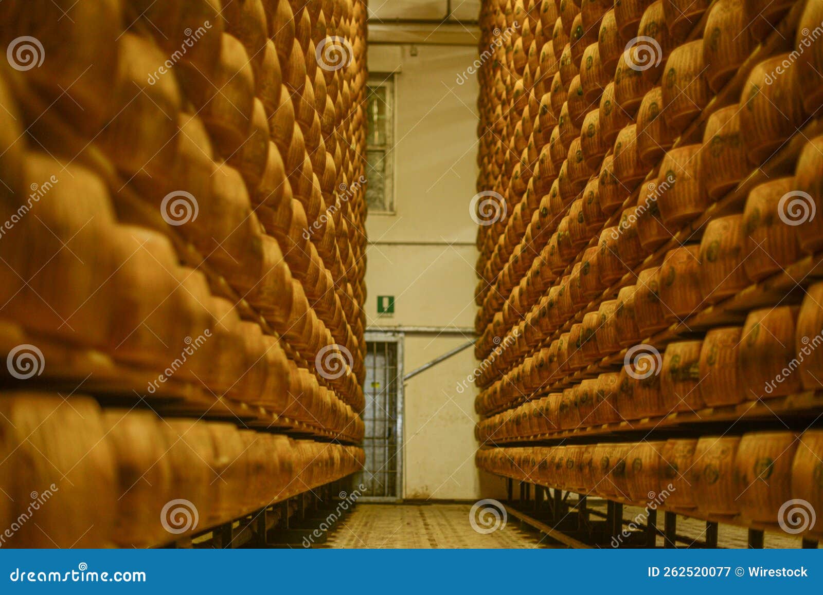 Wheels of Parmesan Cheese at the Dairy Stock Image Image of gourmet