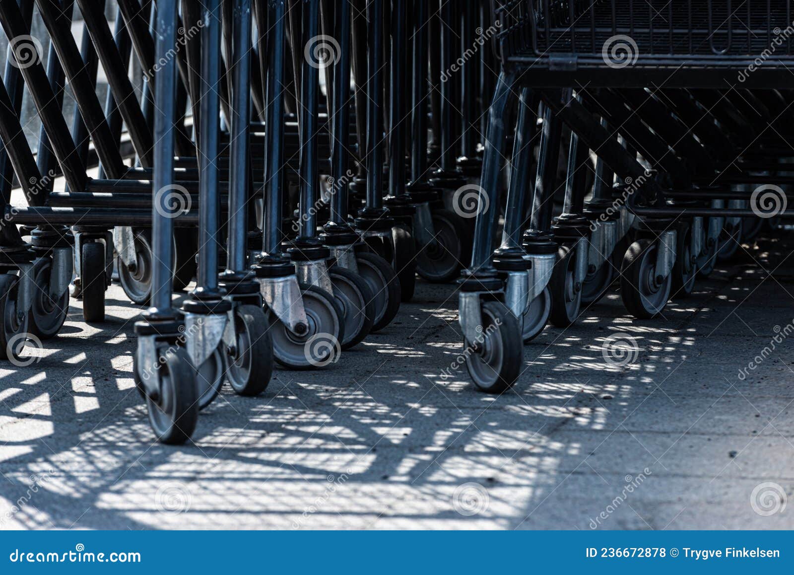 Wheels of Shopping Trolleys Stacked after Eachothers.. Stock Photo