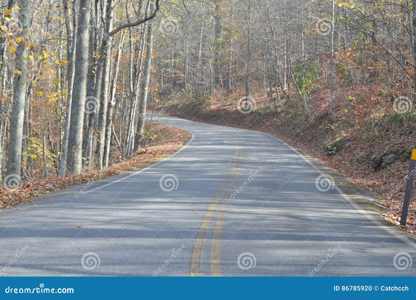 where does your road lead?
