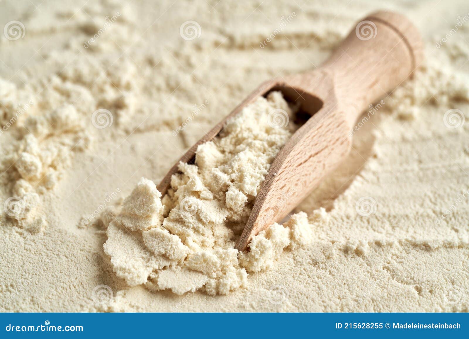 Whey Protein Powder on a Scoop Stock Image Image of traditional
