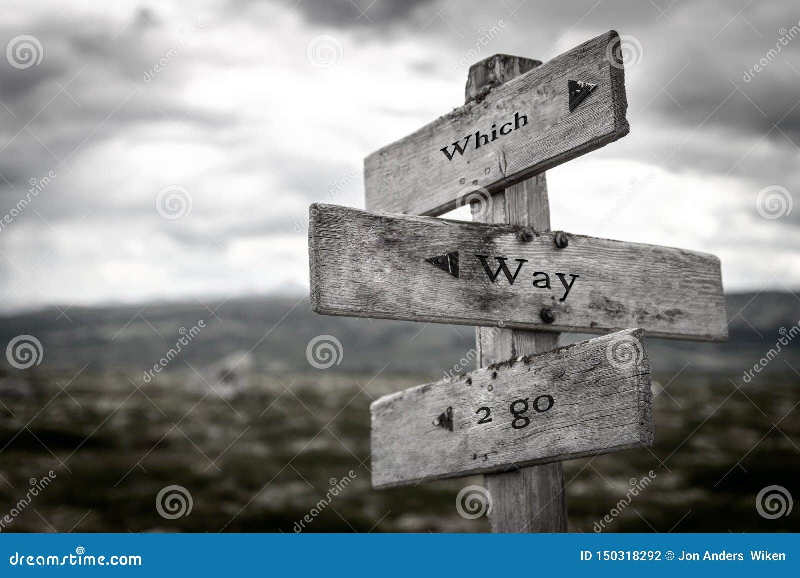 which way to go wooden signpost outdoors in nature.