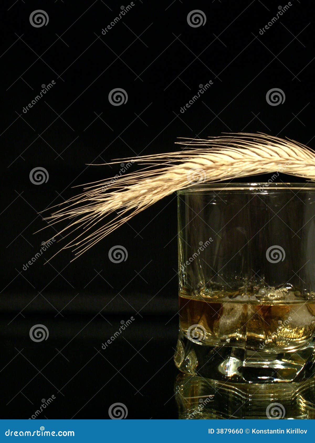 Whisky and wheat stock photo. Image of concept, core, dark 3879660