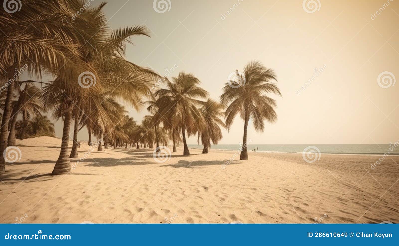 whispering trees and clear blue ocean