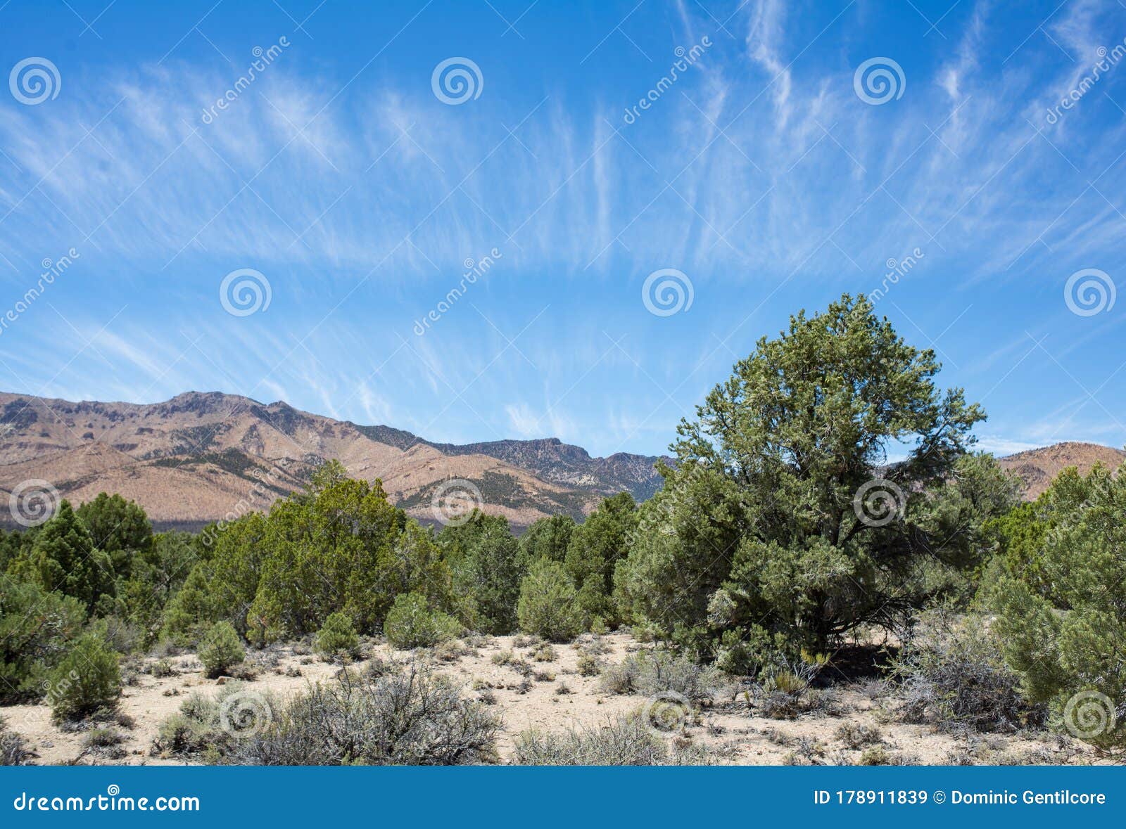 whispy clouds over pinyon juniper woods