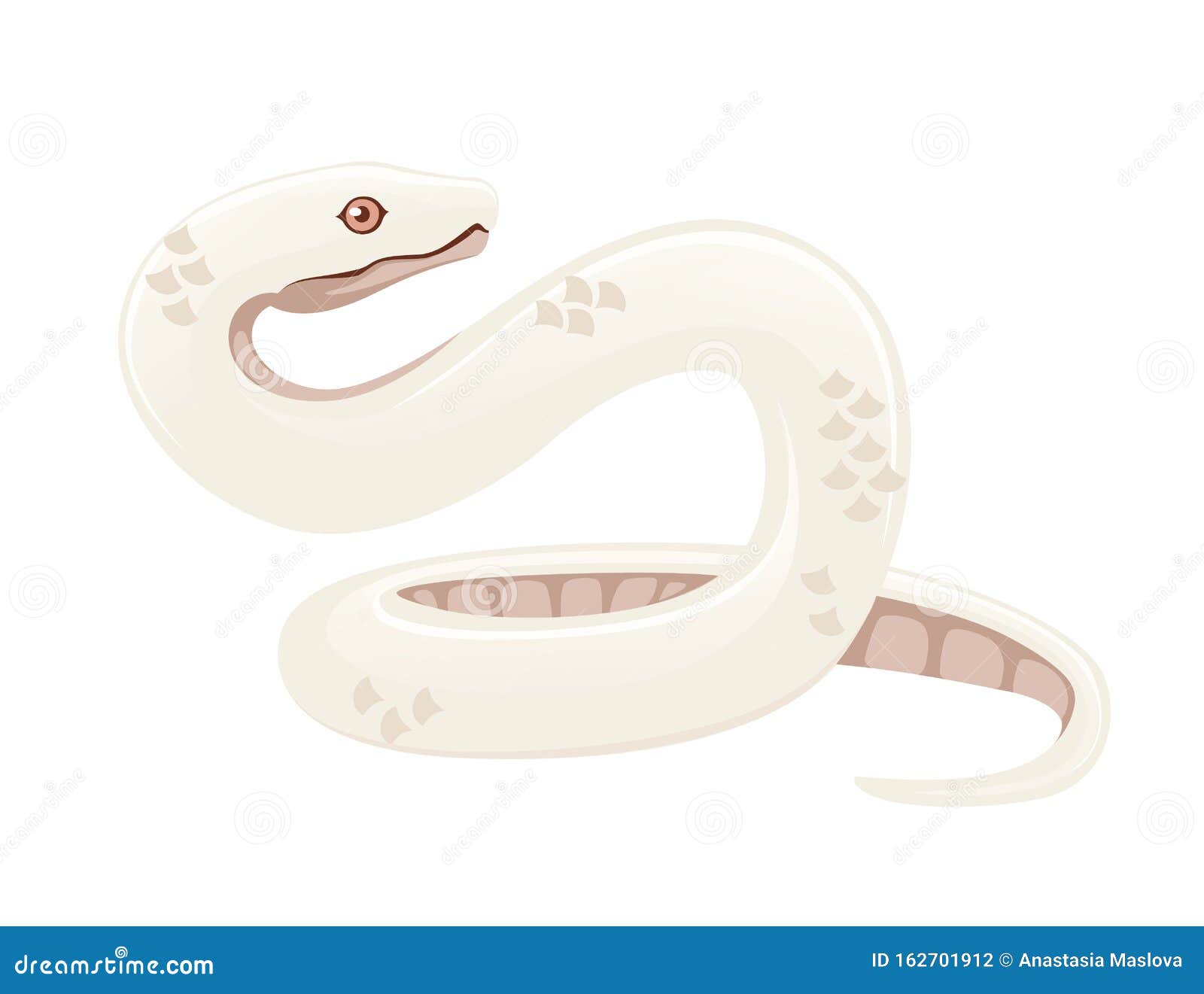 White Albino Snake Cartoon Animal Design Flat Vector Illustration Isolated  on White Background Stock Illustration - Illustration of huge, dangerous:  162701912