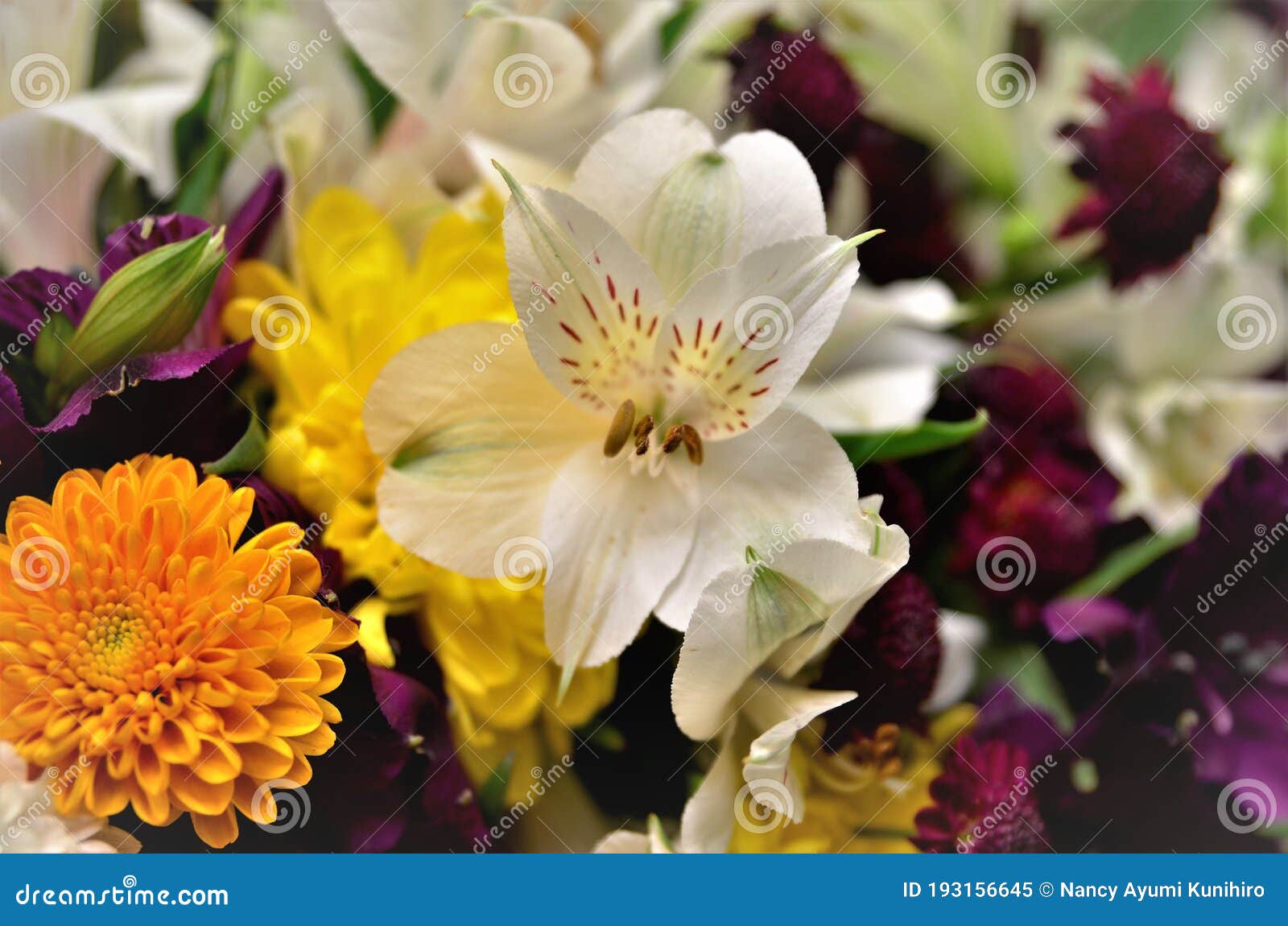 white alstroemeria flower in the middle of the flower bouquet