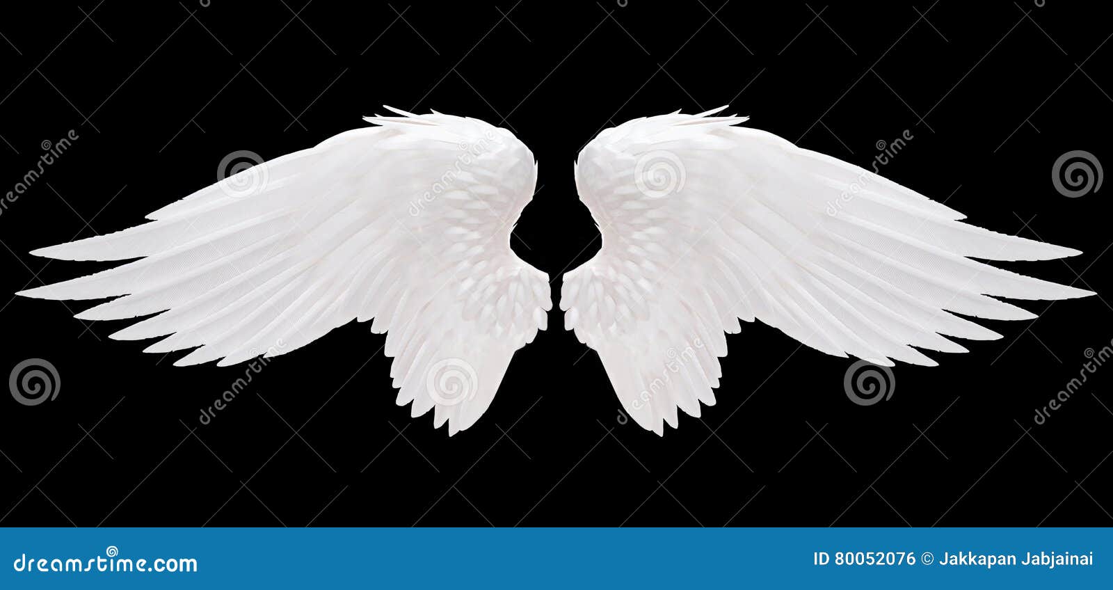 white angel wing