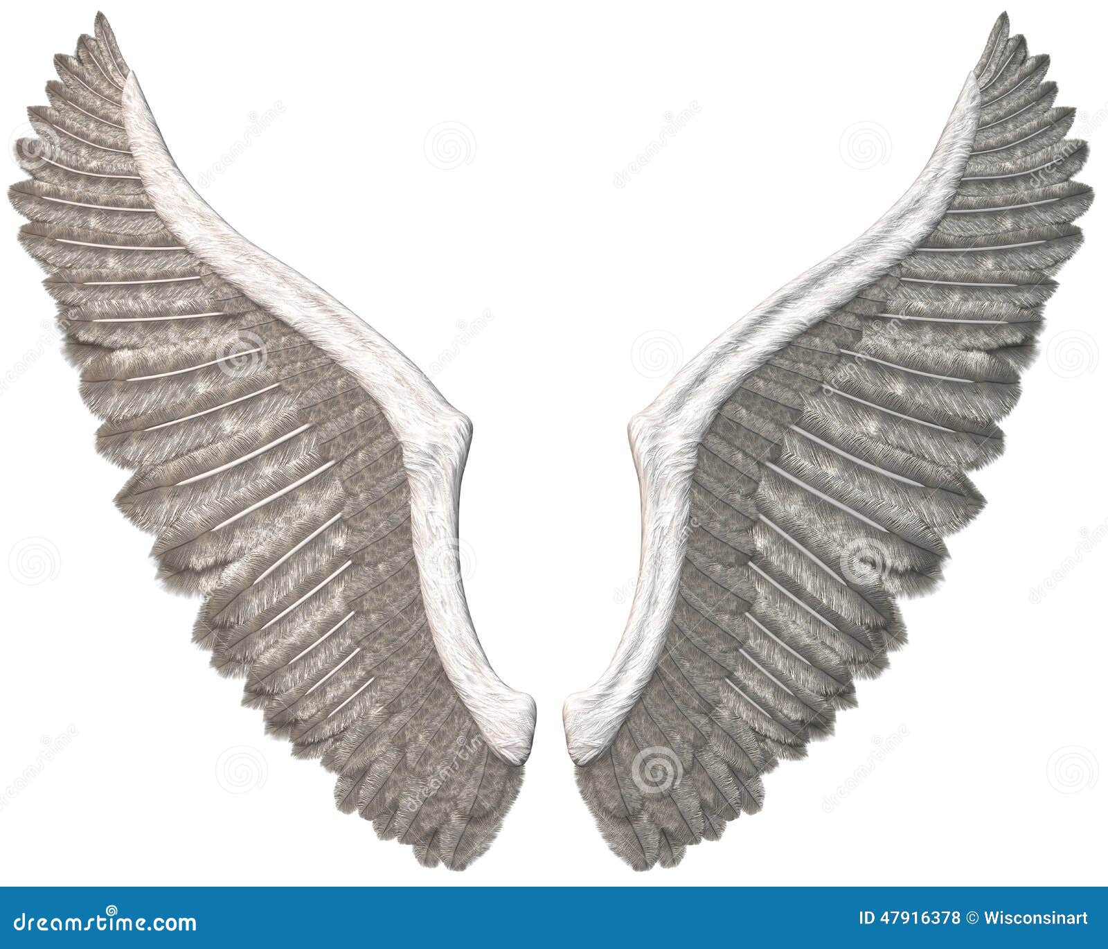 Black Wings PNG Image  Angel wings png, Black angel wings, Wings png