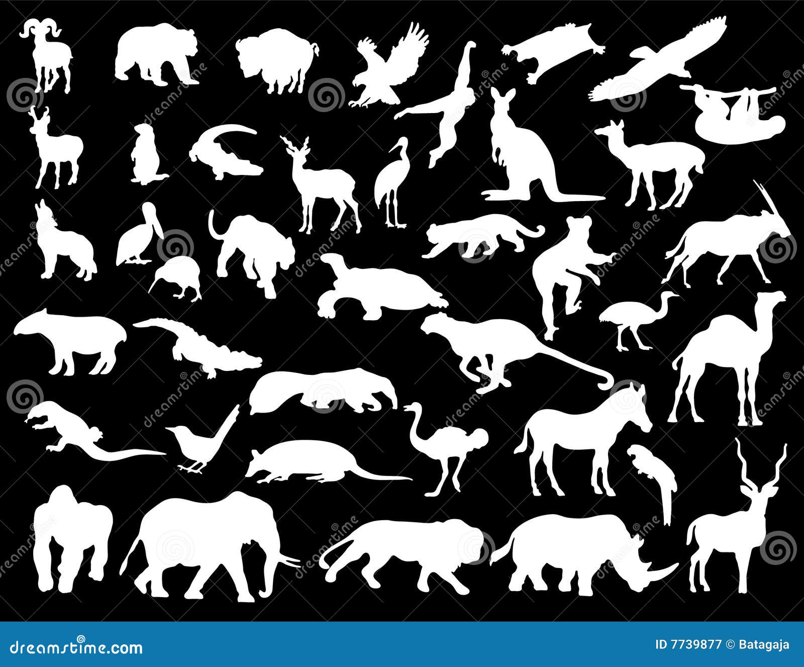 White animals stock illustration. Illustration of lion - 7739877