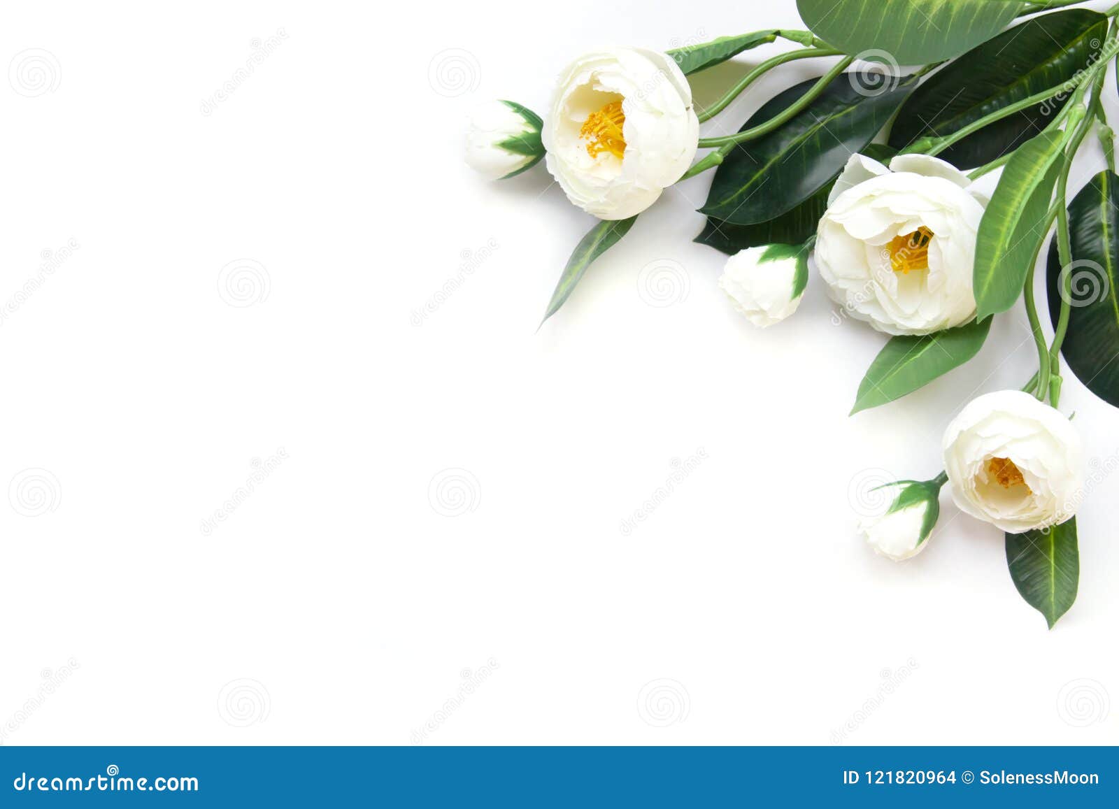 White Artificial Flowers on a White Background. Stock Photo Image of bouquet, beautiful 121820964