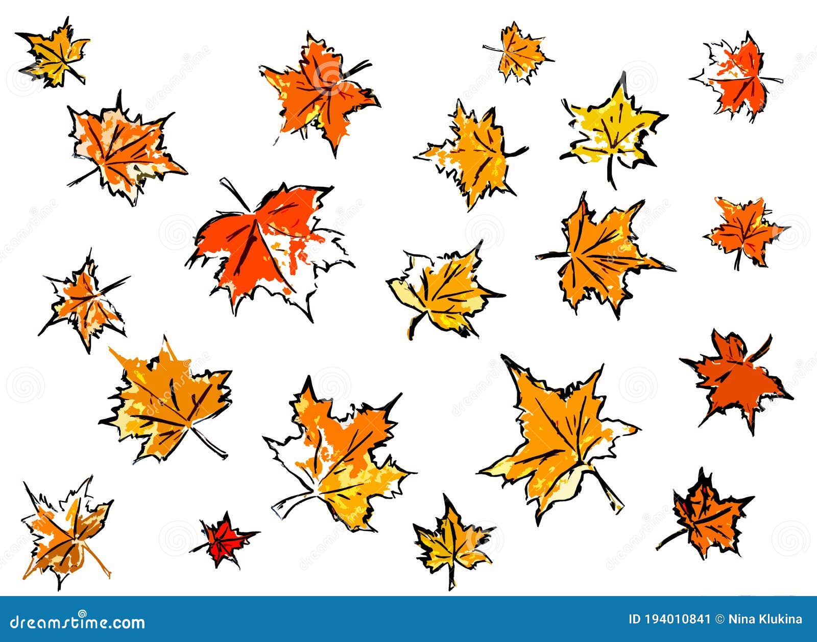 white background with maple autumn leaves