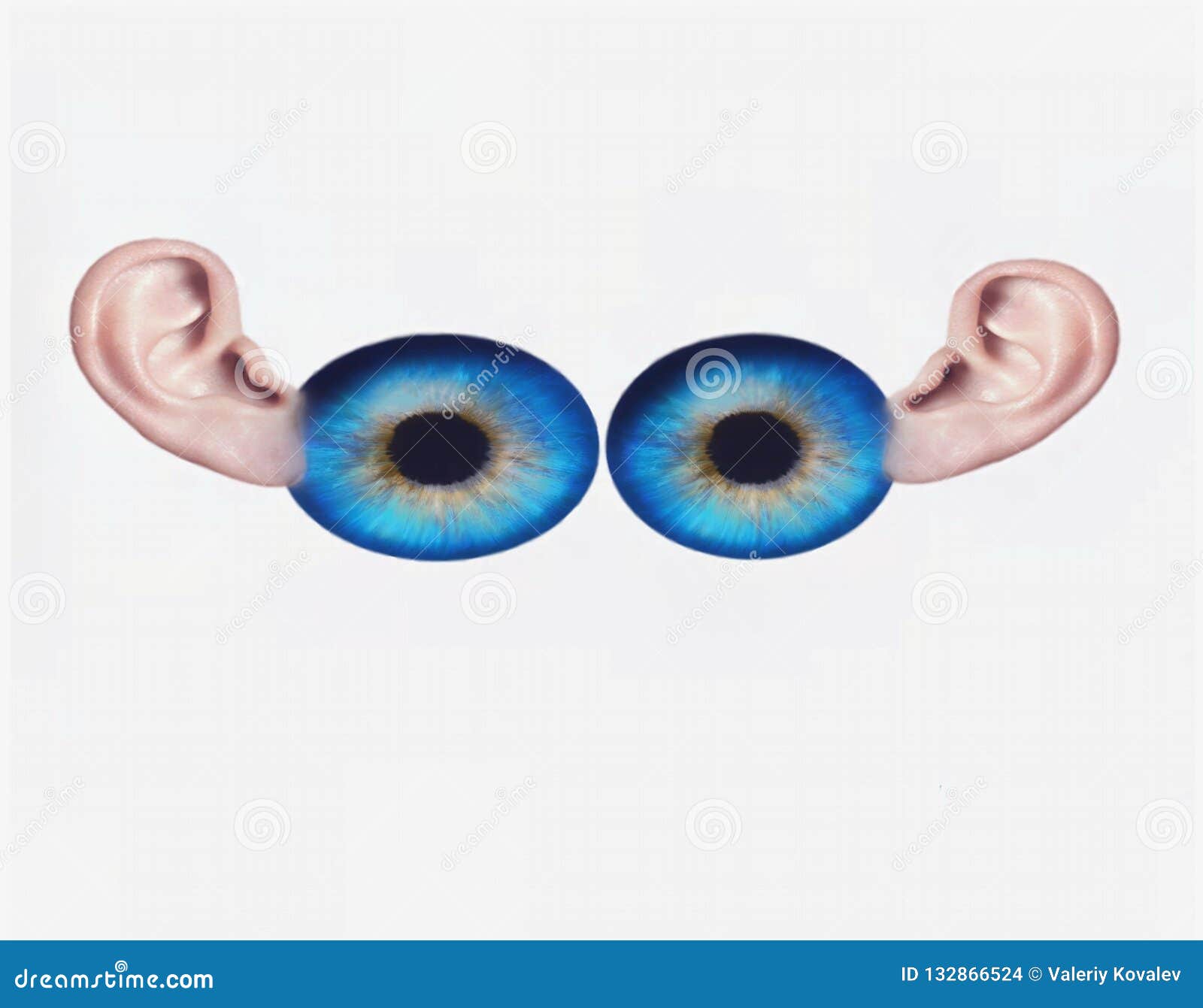 My Image 22