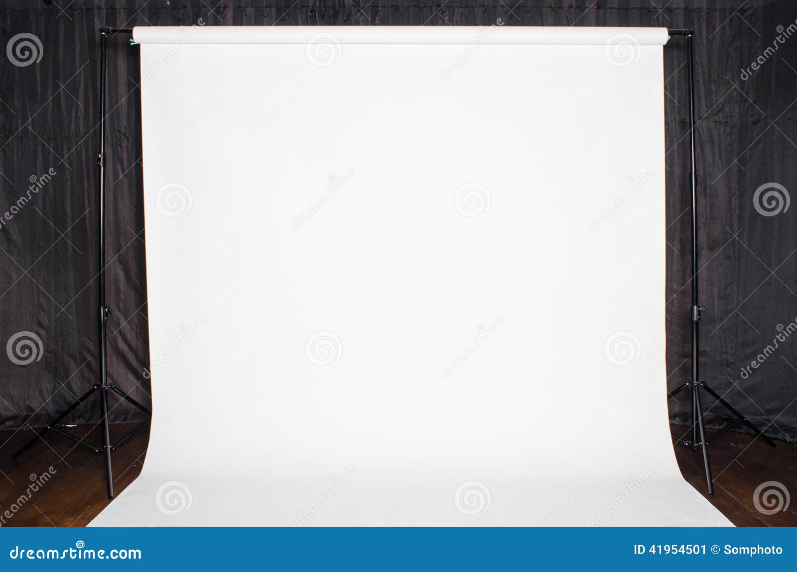 White Background stock image. Image of photograph, studio 41954501
