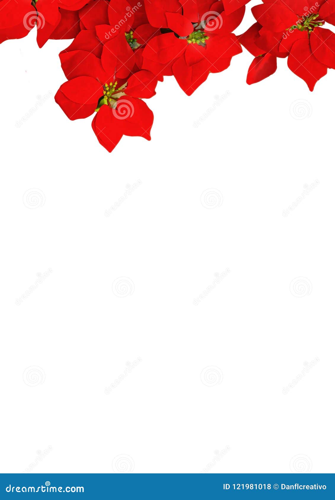 White Background With Red Flower Decoration Stock Photo
