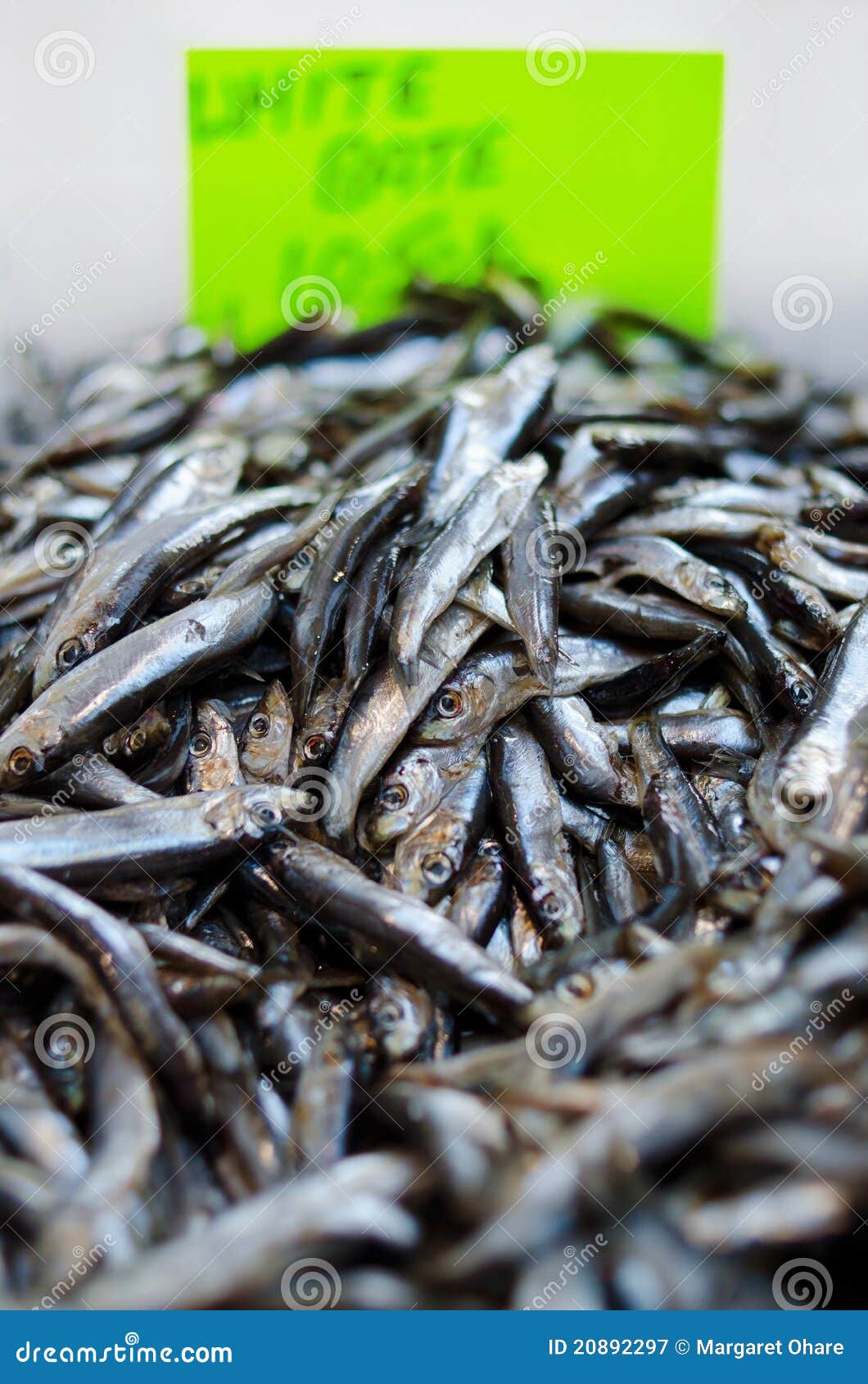 White bait at market stock image. Image of tiddler, fresh 20892297