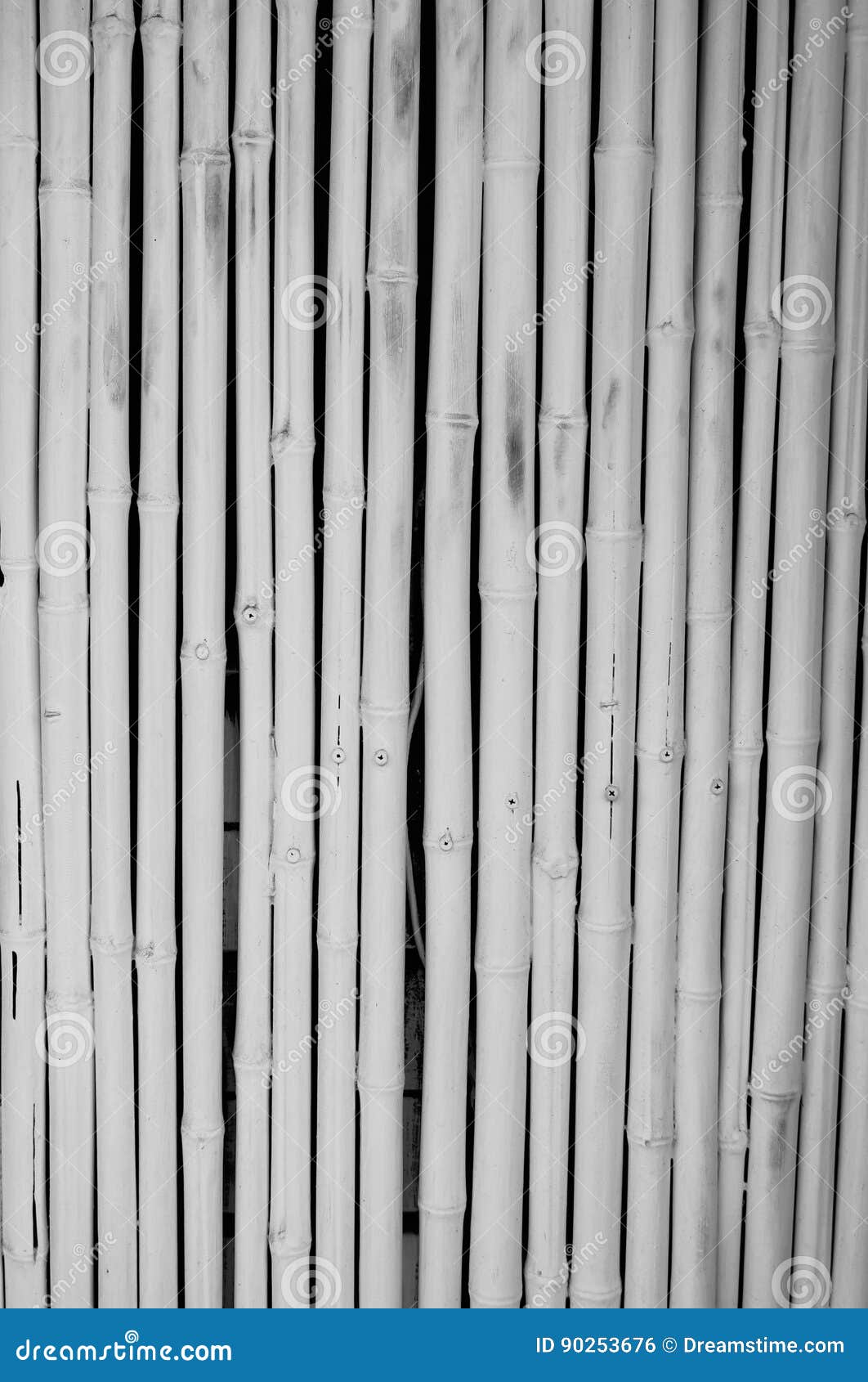 white bamboo
