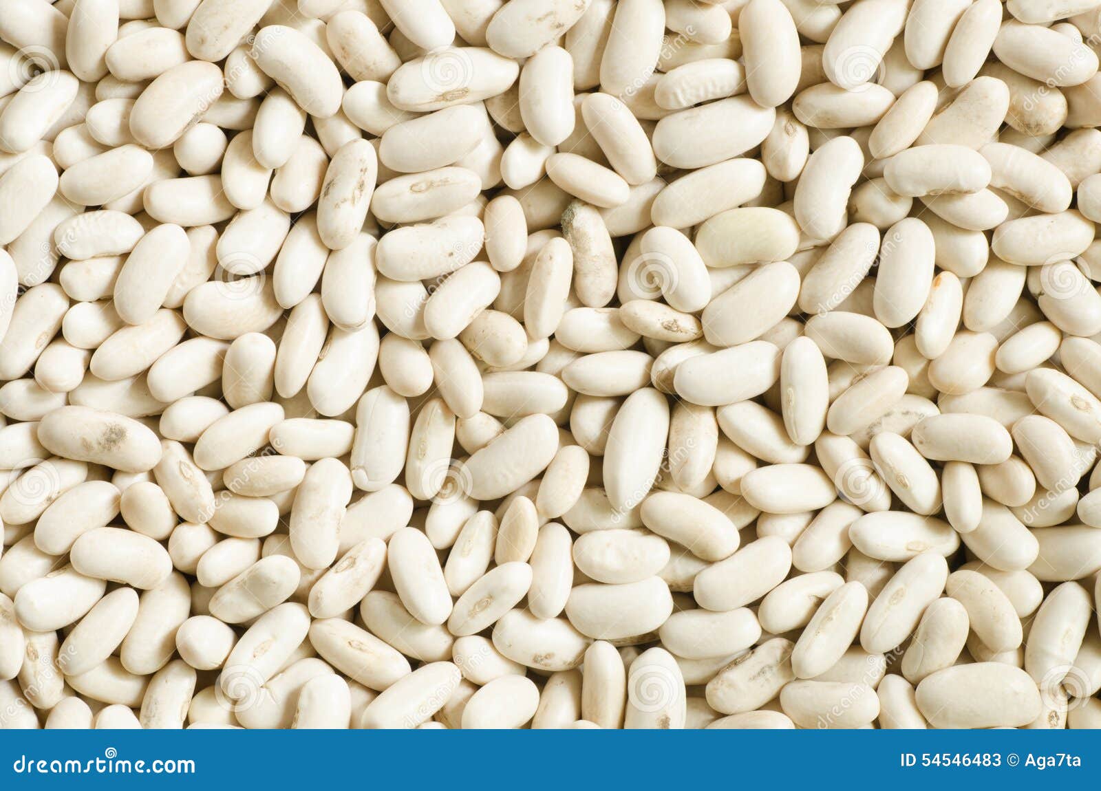 White bean seeds stock image. Image of health, haricot 54546483