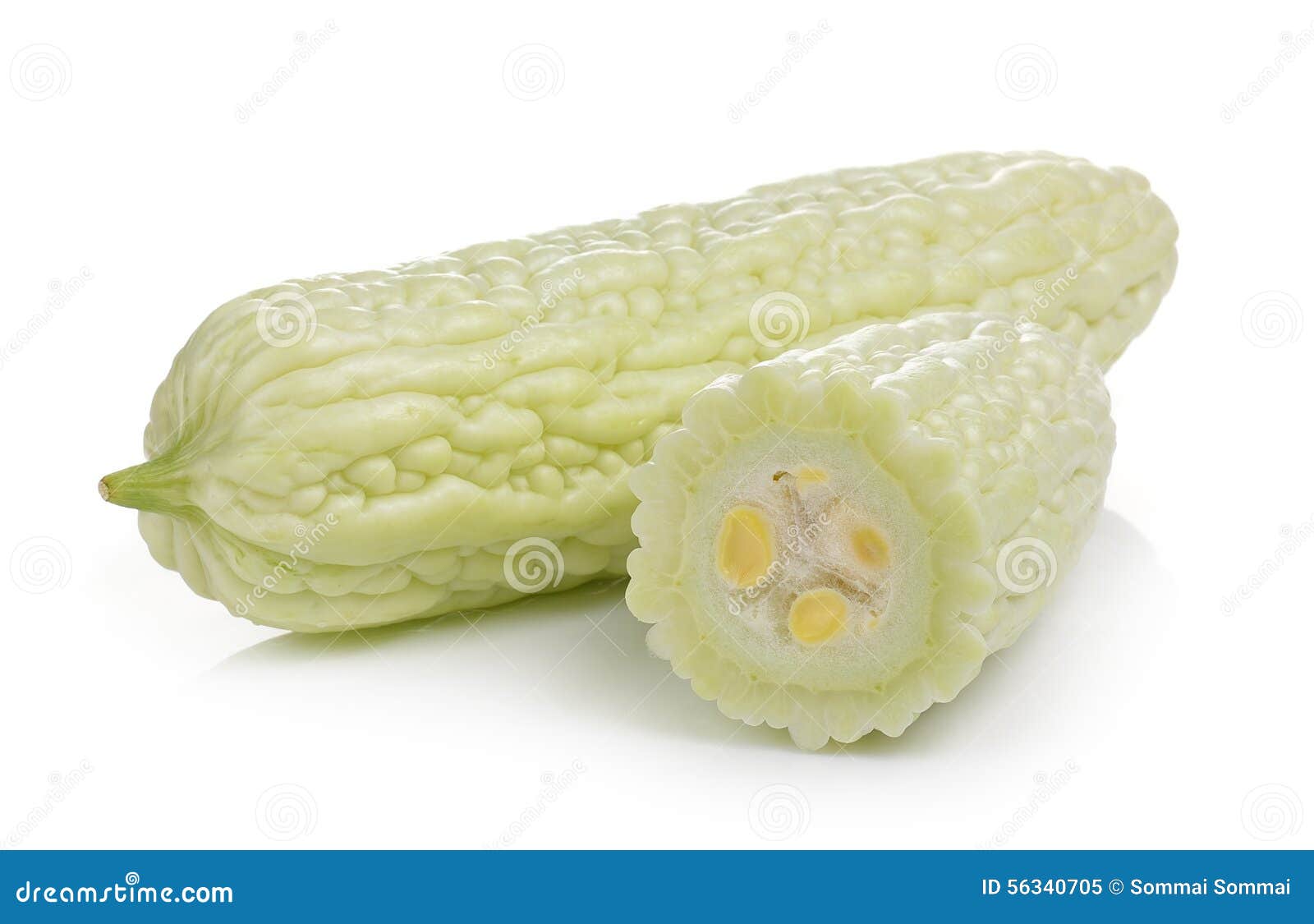 White Bitter Melon Isolated on White Background Stock Image Image of