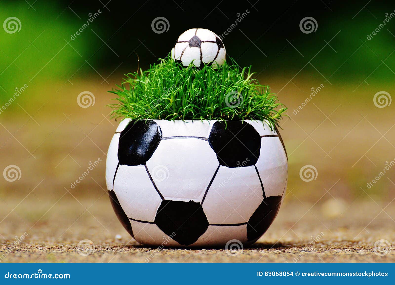 White And Black Soccer Ball Theme Plant Pot Picture. Image 83068054