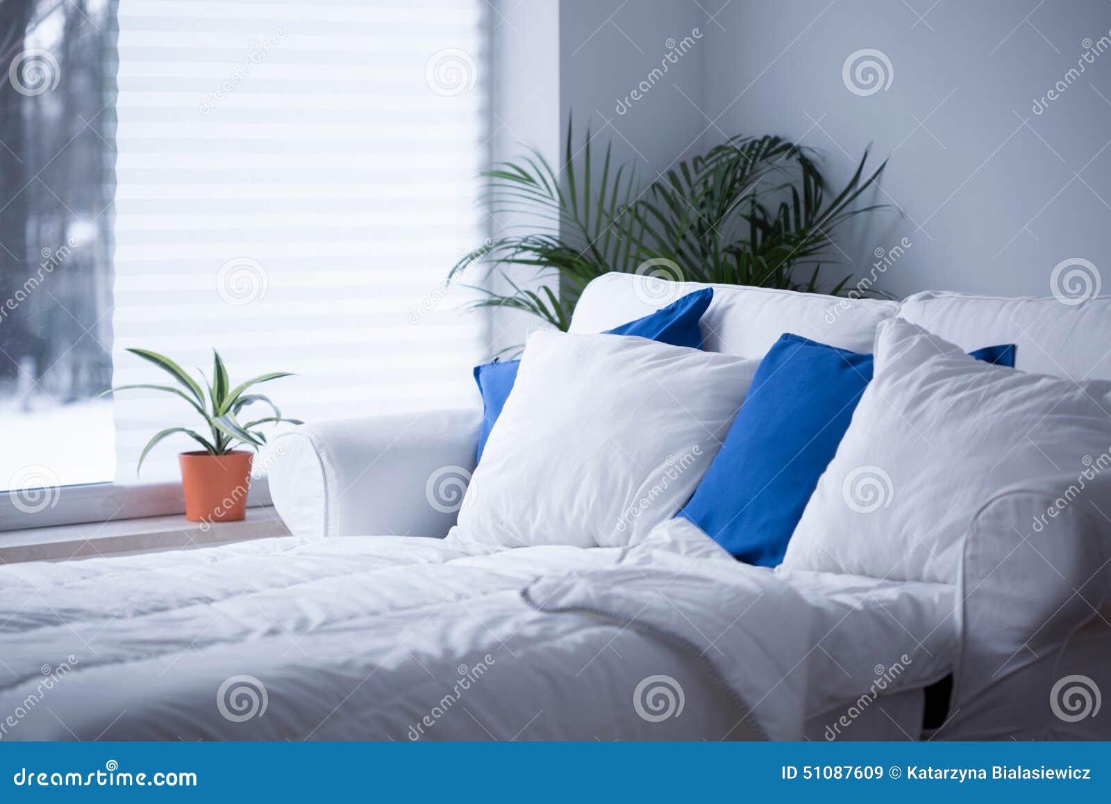 White and blue cushions stock image. Image of apartment 51087609