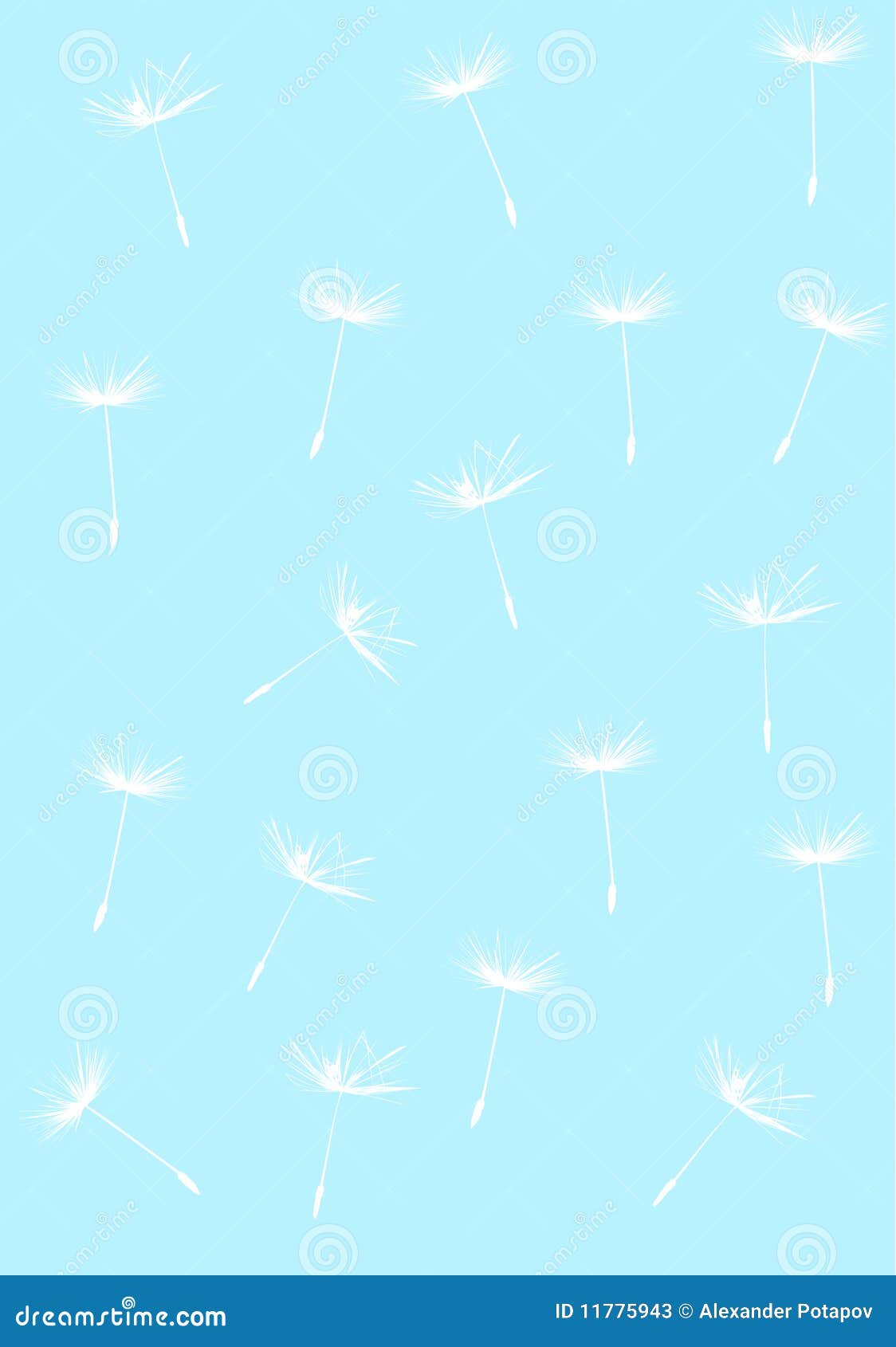 White on Blue Dandelion Background Stock Vector Illustration of curve