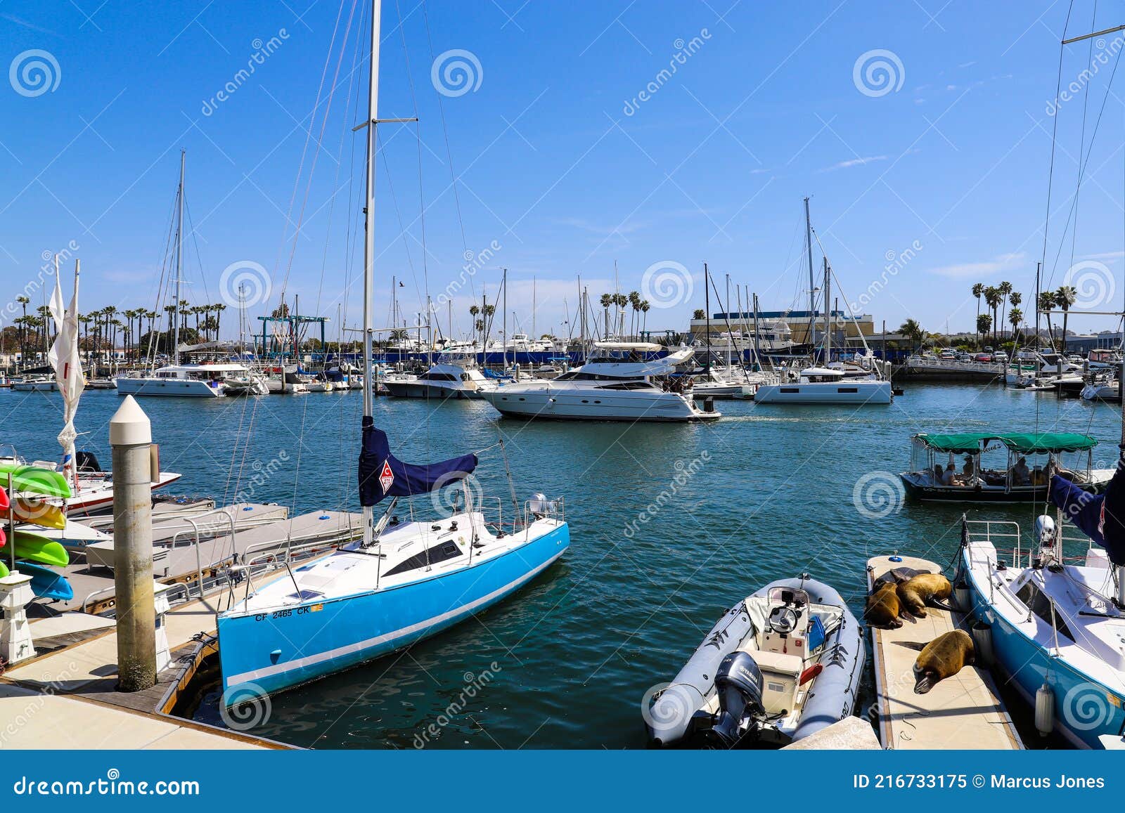 White Boats and Yachts at the Docks in the Harbor with Deep Blue Ocean ...
