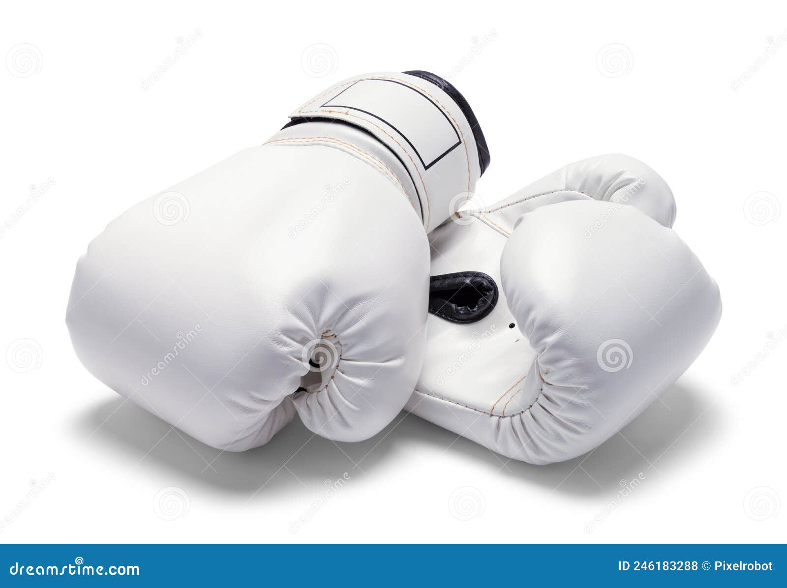White Boxing Gloves stock photo. Image of view, glove 246183288