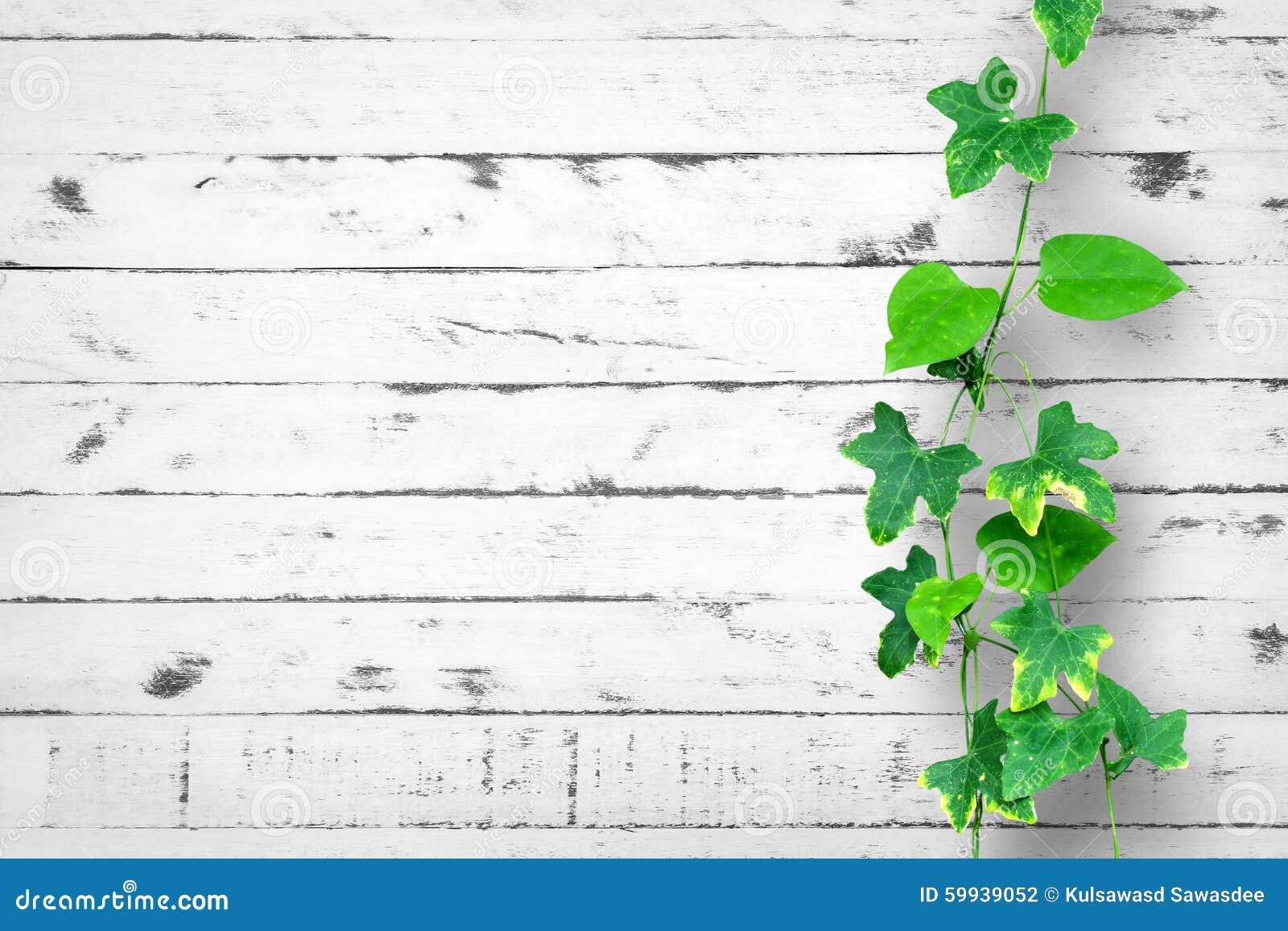 White Brick Wall Background With Creeping Plant Stock Photo Image Of Nature House