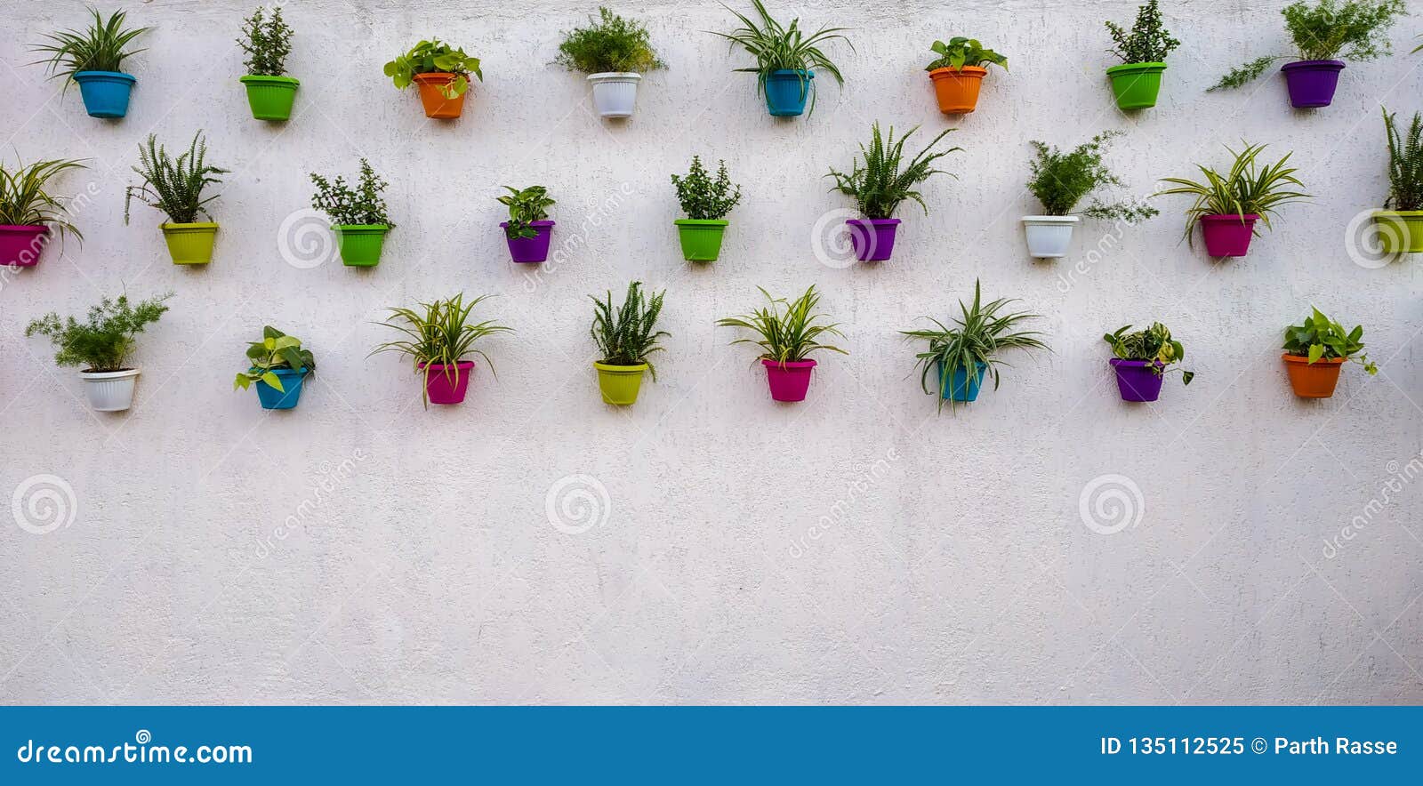 White Brick Wall with Colorful Plants and Pots Hanging on it Stock