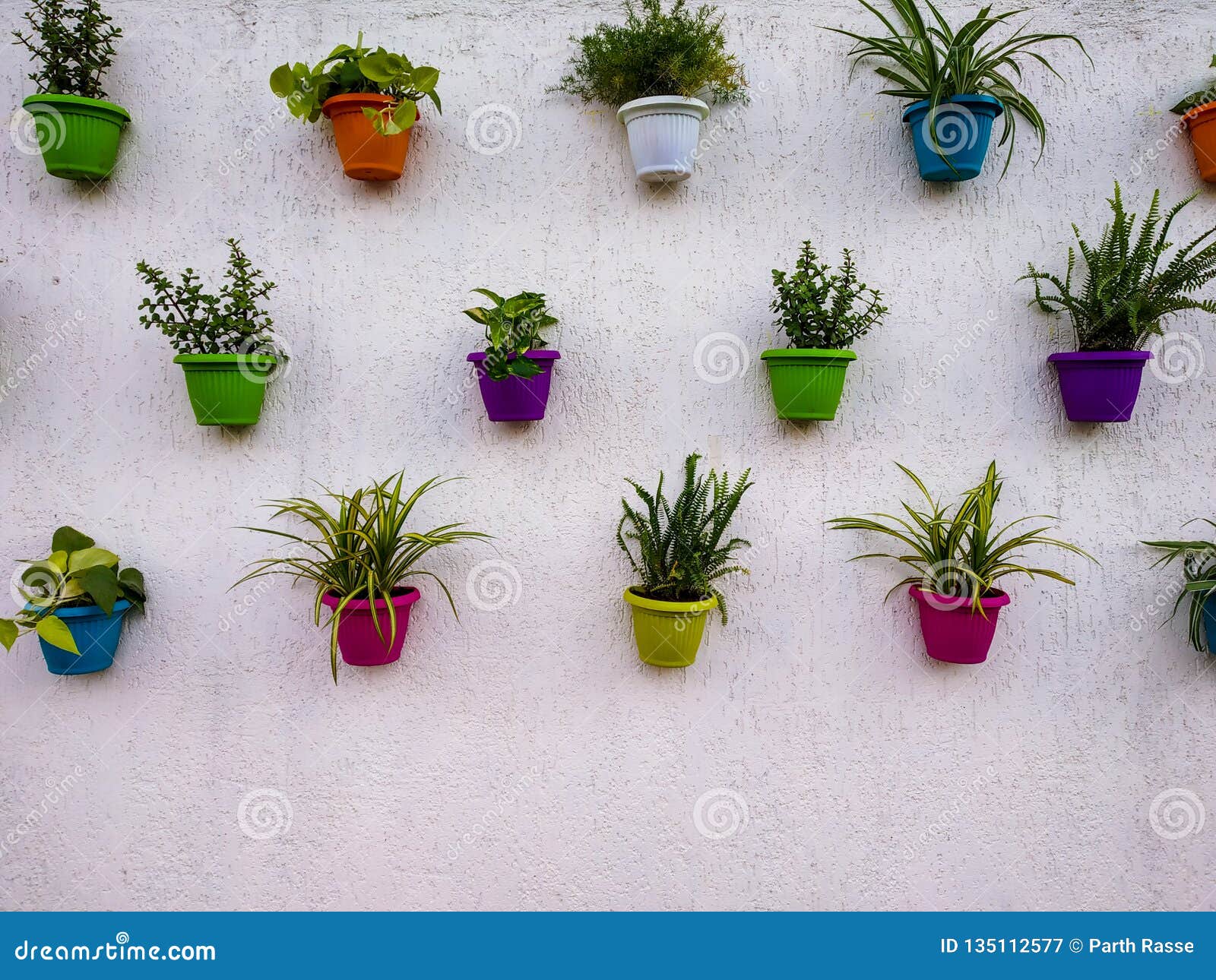 White Brick Wall with Colorful Plants and Pots Hanging on it Stock