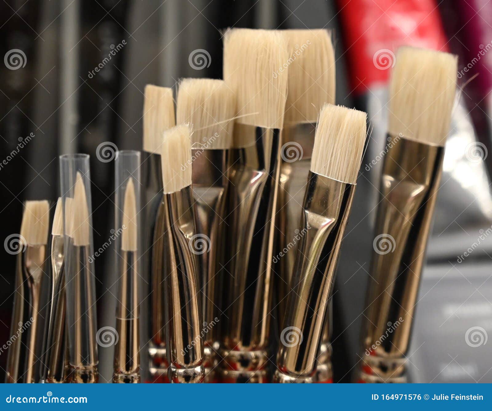 White Bristle Art Brushes stock photo. Image of flexible 164971576