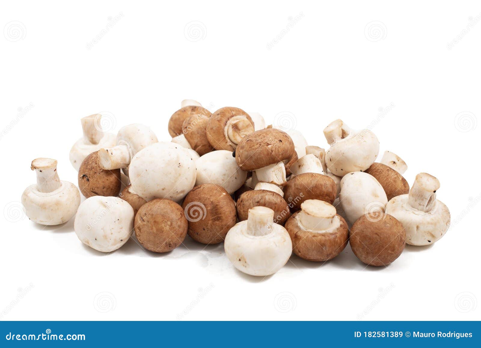 White and brown mushrooms stock image. Image of ingredient 182581389