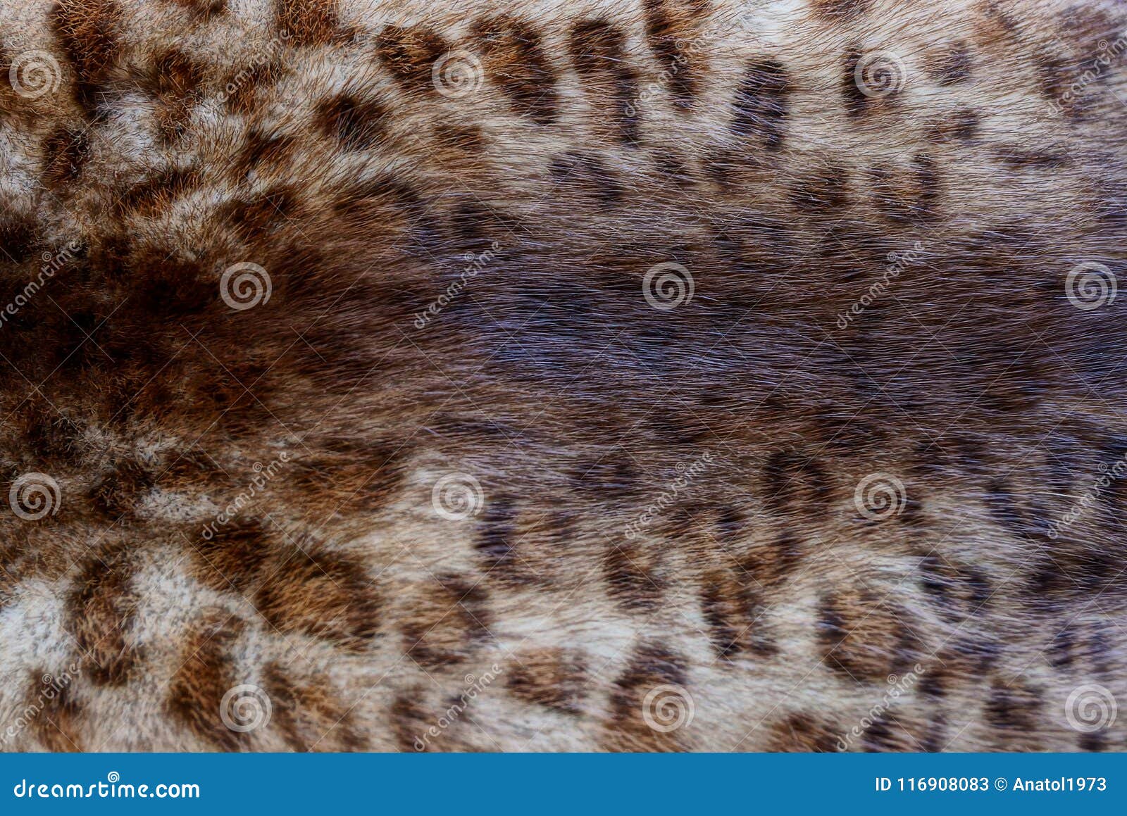 White Brown Texture of Natural Fur on Clothes Stock Image - Image of ...