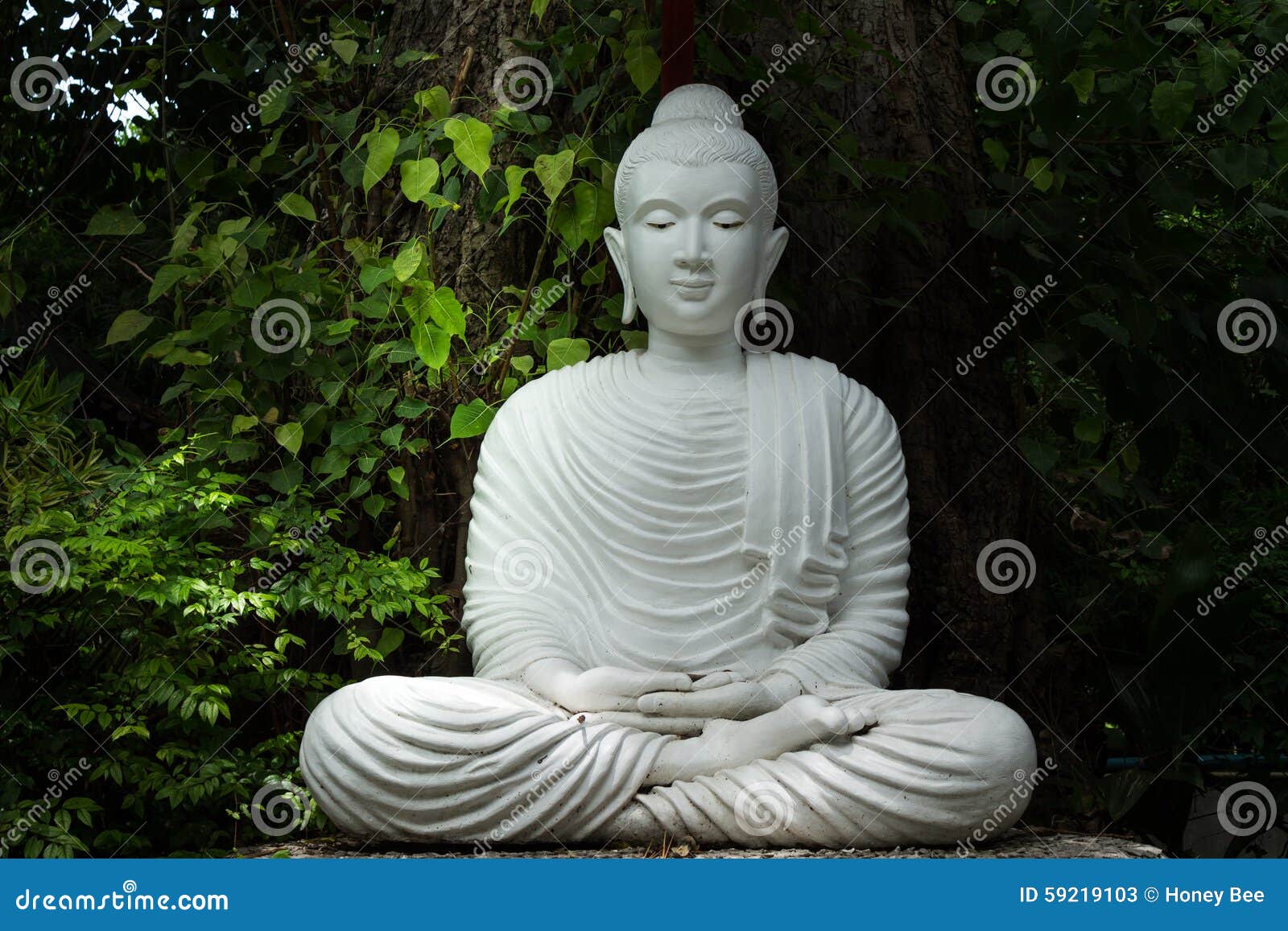 White Buddha Statue Stock Photography | CartoonDealer.com #76443992