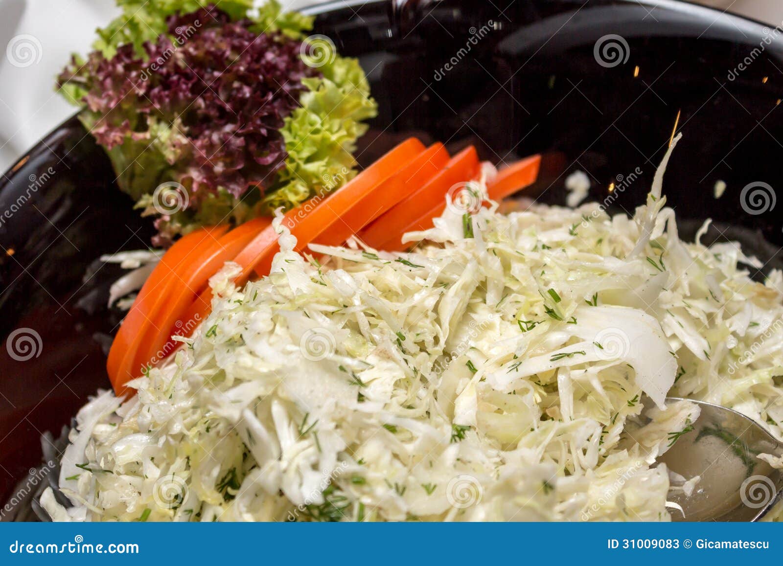 White cabbage salad stock image. Image of juicy, organic 31009083